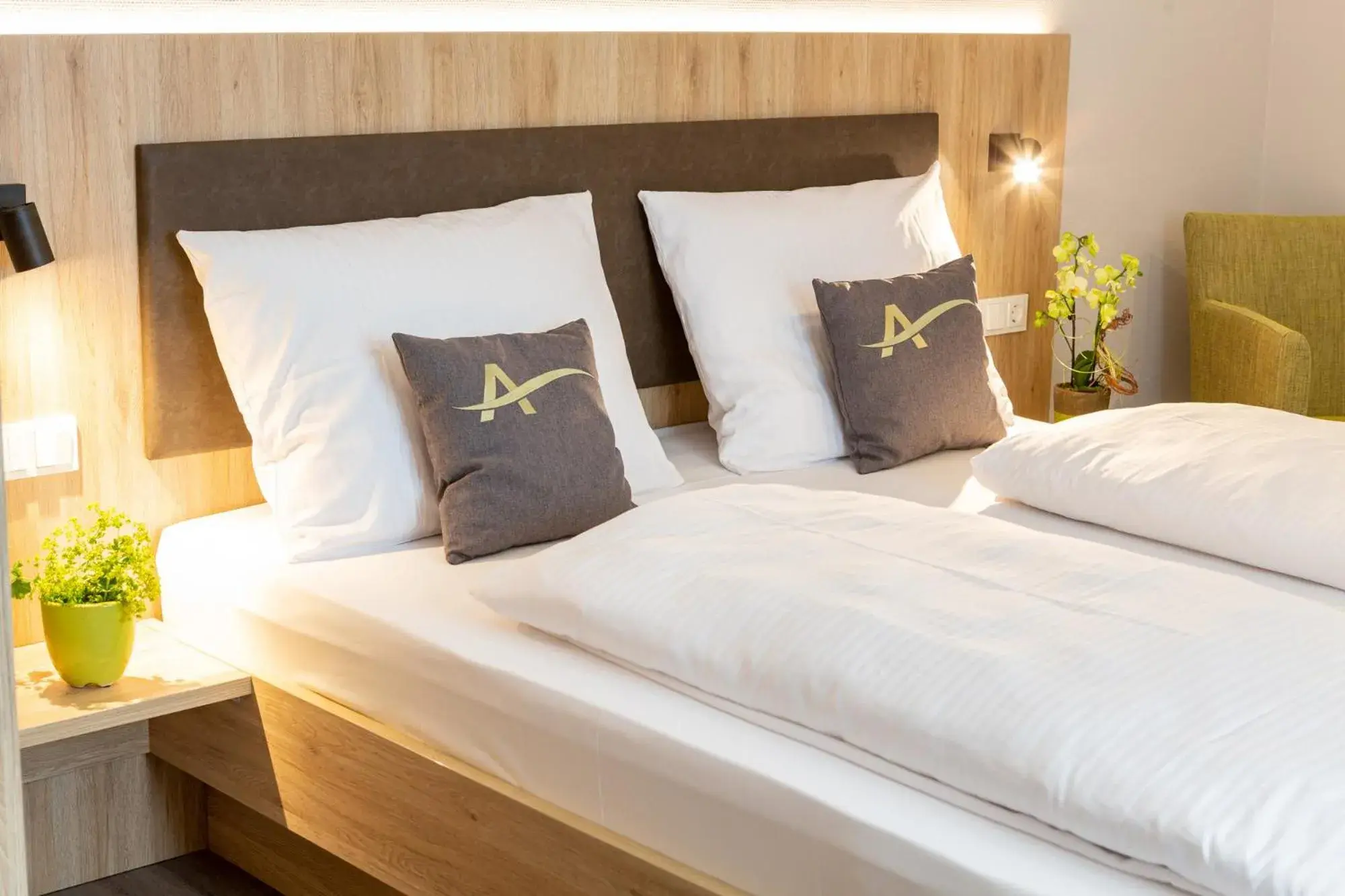 Standard Double Room - single occupancy - Disability Access in Aparthotel Am Pfaffenstein Standard Double Room - single occupancy - Disability Access in Aparthotel Am Pfaffenstein