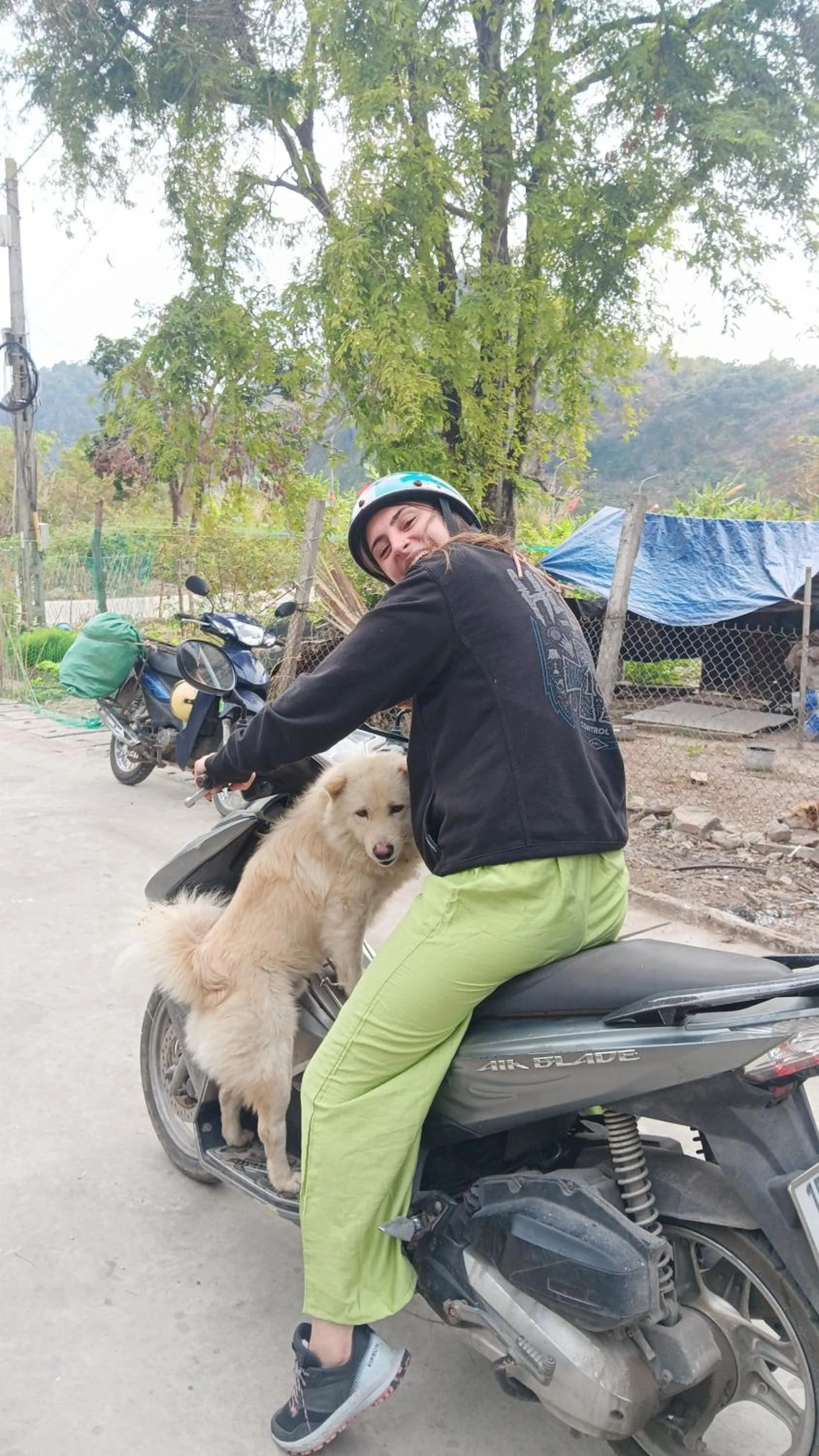 Pets in Tran Chau Garden Home