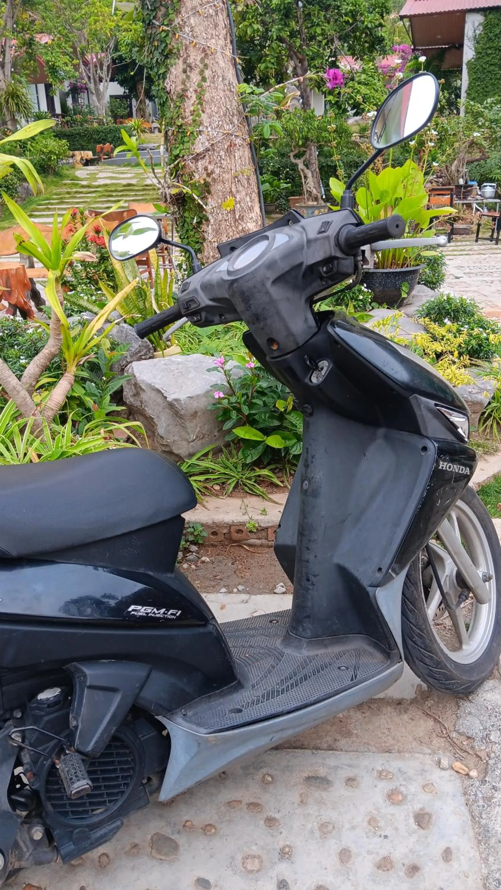 Day in Tran Chau Garden Home