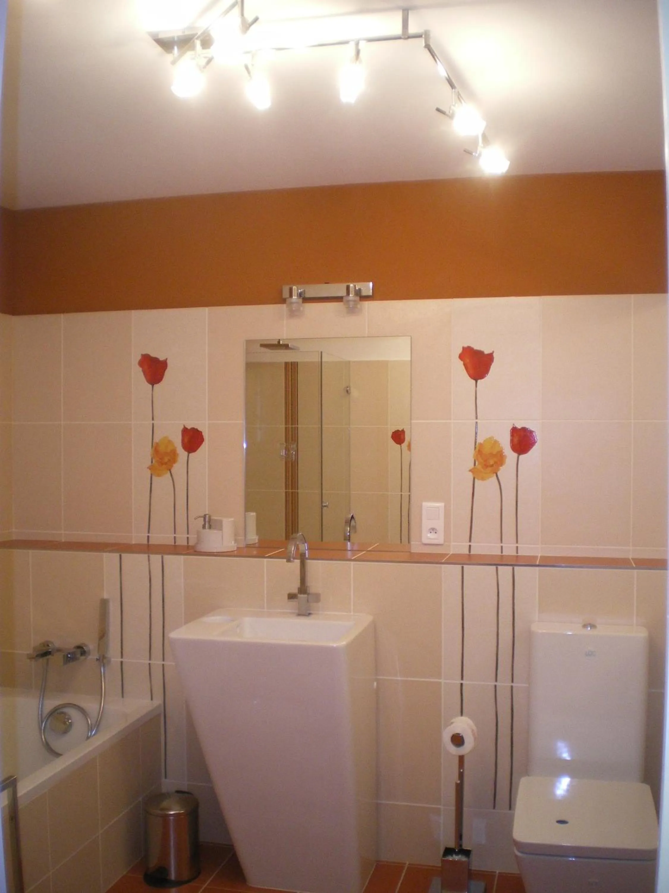 Shower in Suite Anduze
