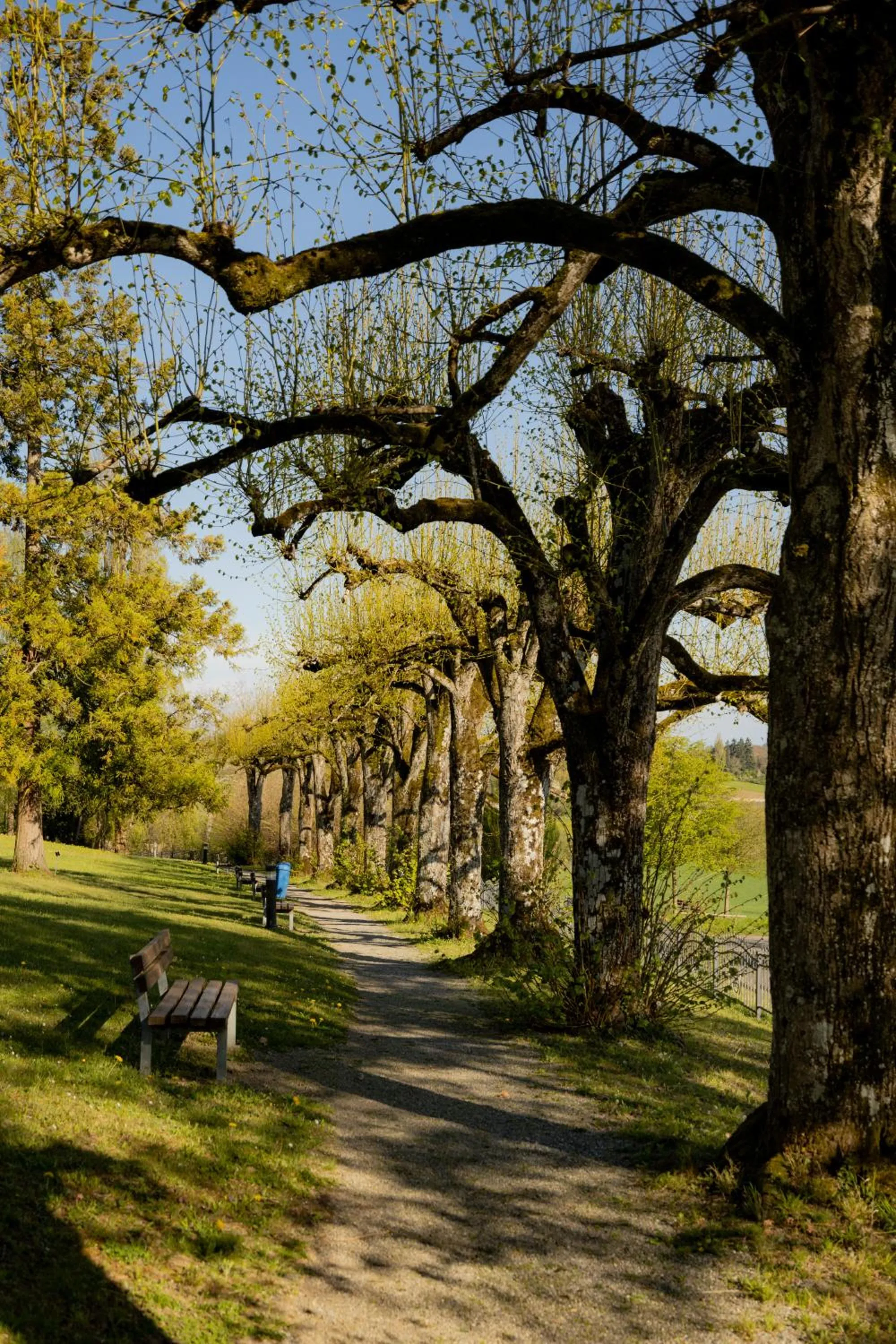 Property building in Parkhotel St.Leonhard