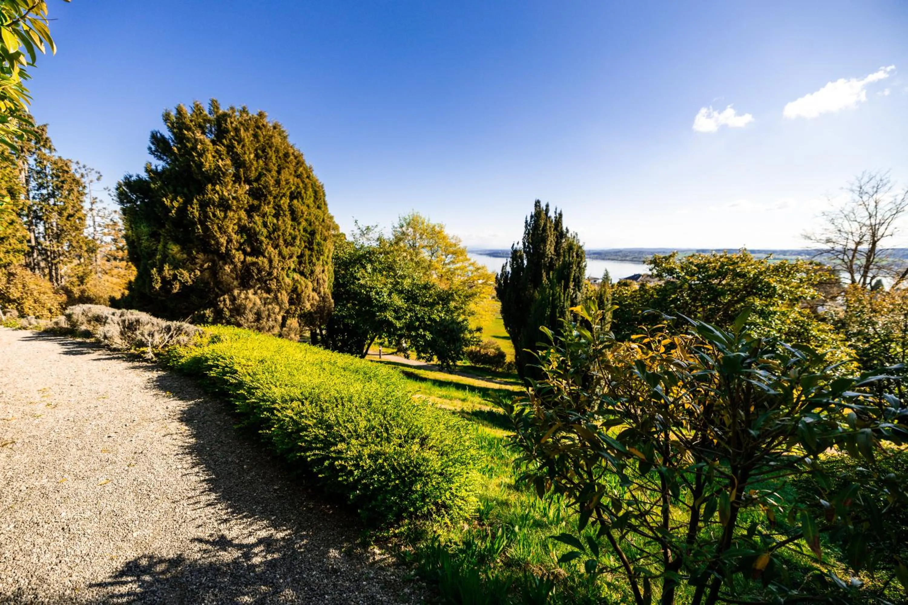 View (from property/room) in Parkhotel St.Leonhard