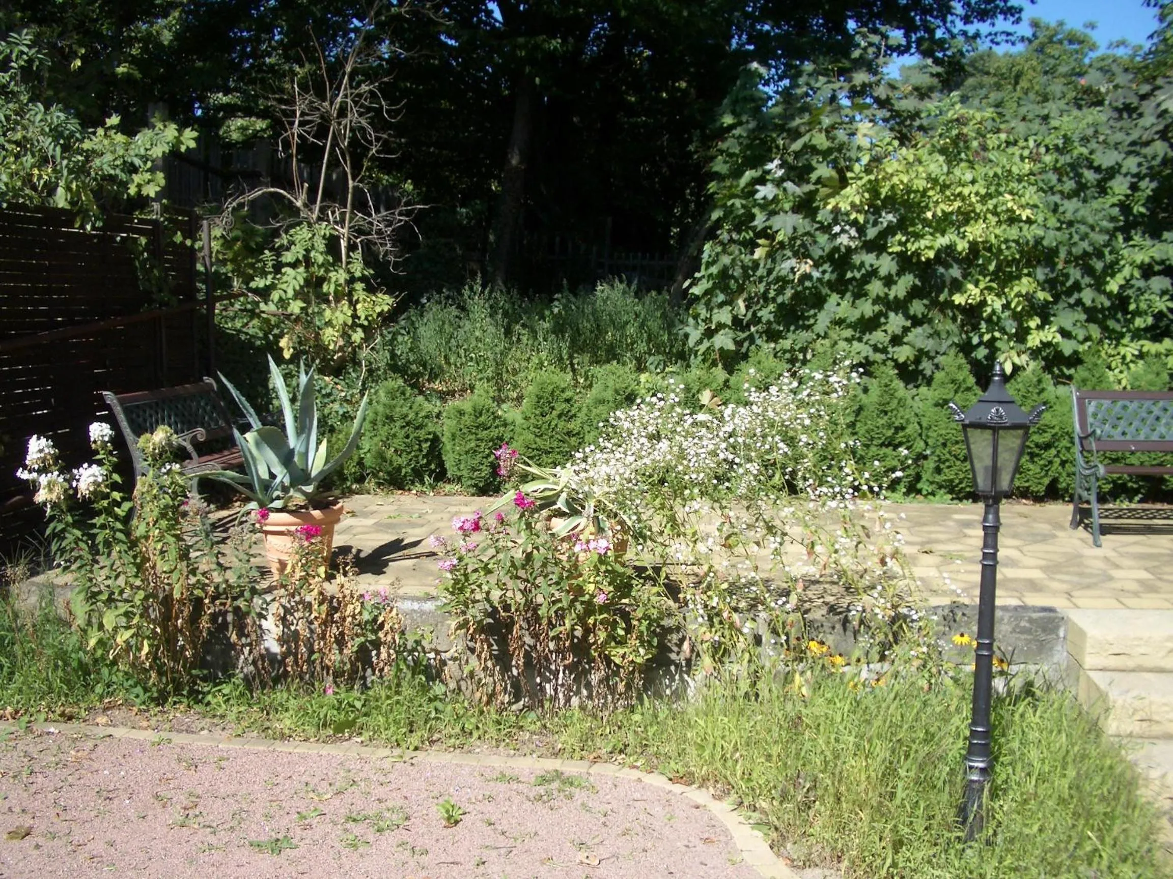 Garden in Hotel-Appartement-Villa Ulenburg