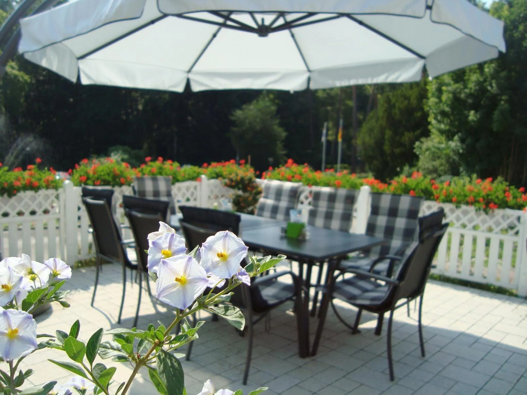 Restaurant/places to eat in Hotel Residenz WALDOASE