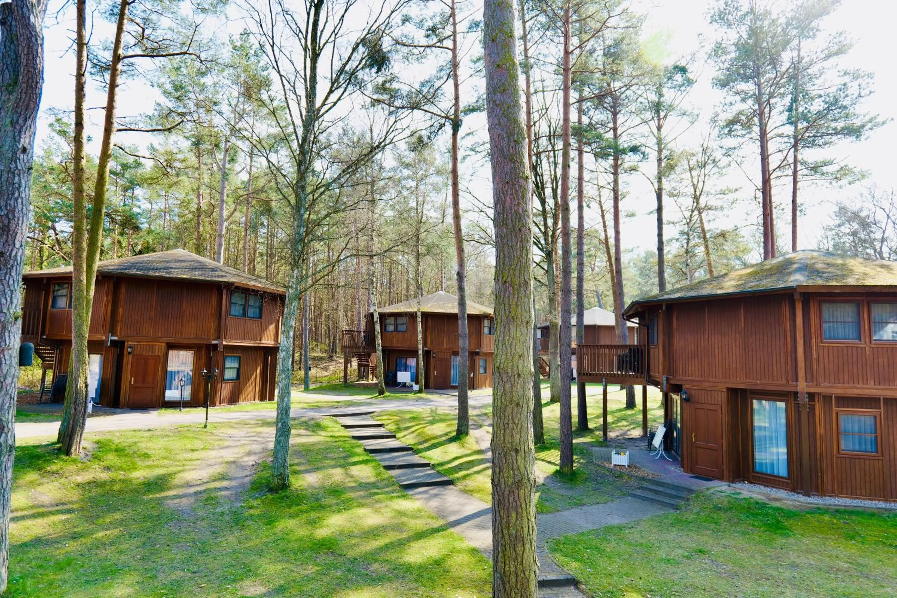 View (from property/room) in Hotel Residenz WALDOASE