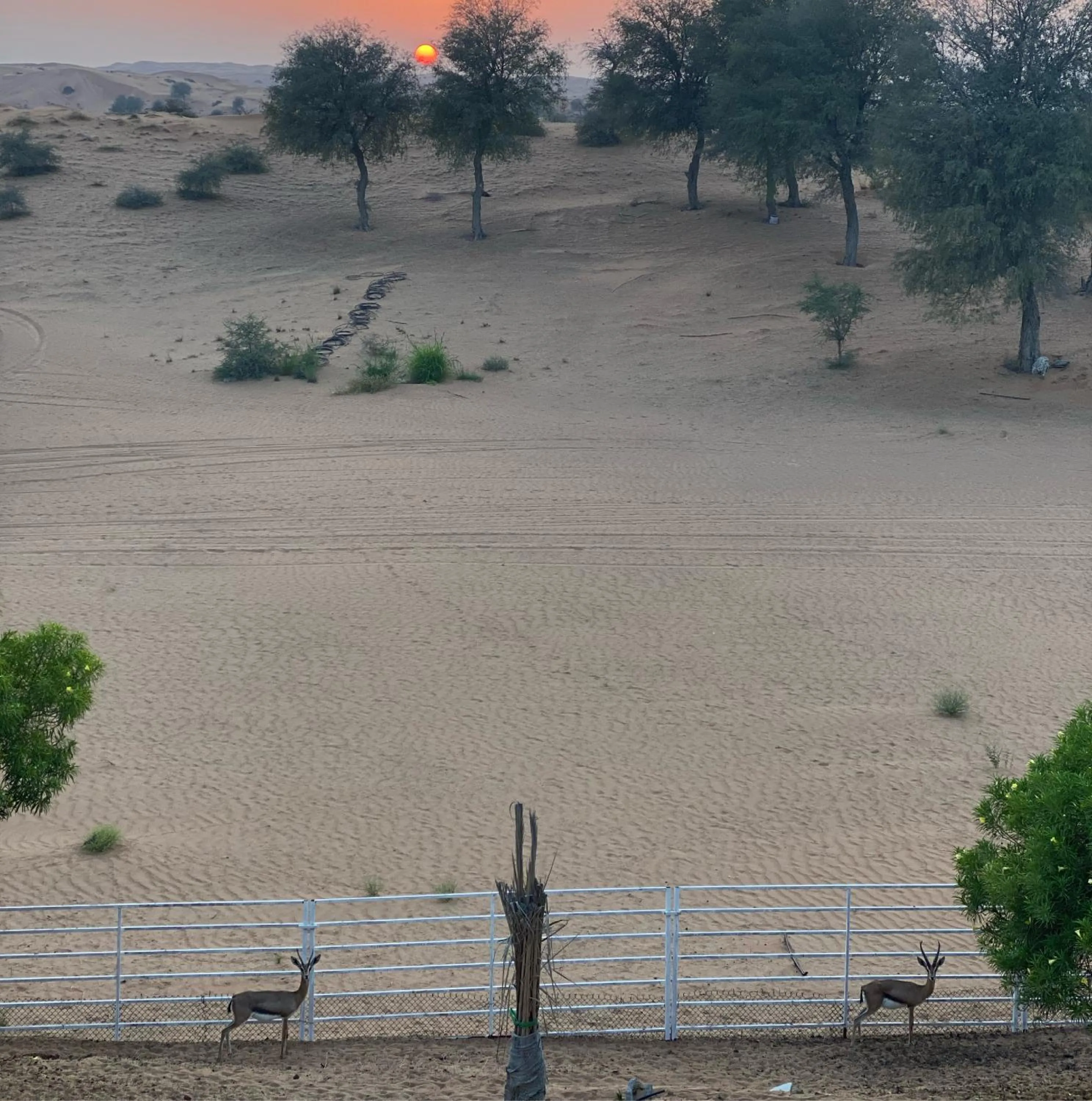Desert Inn Resort and Camp