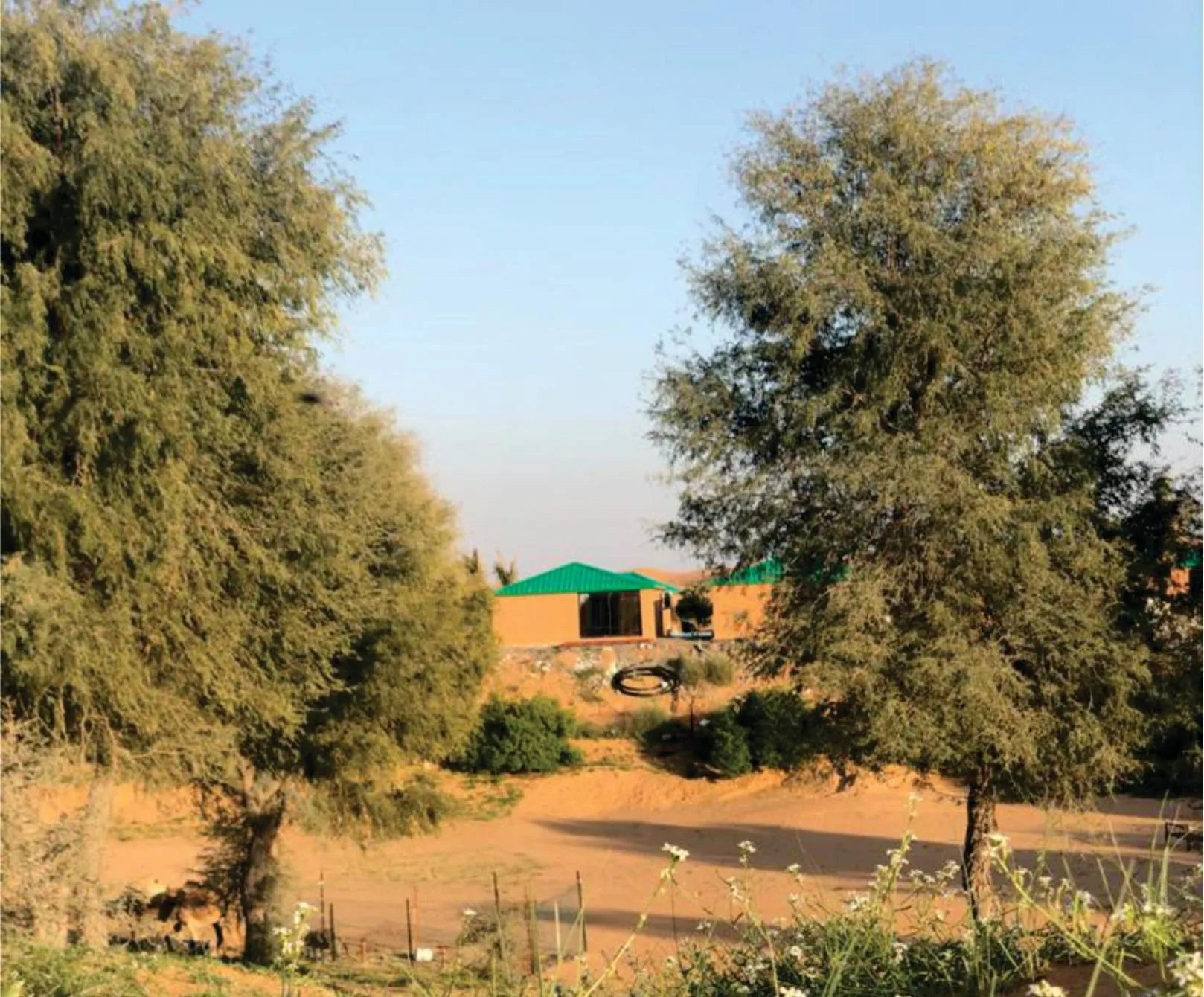 Desert Inn Resort and Camp