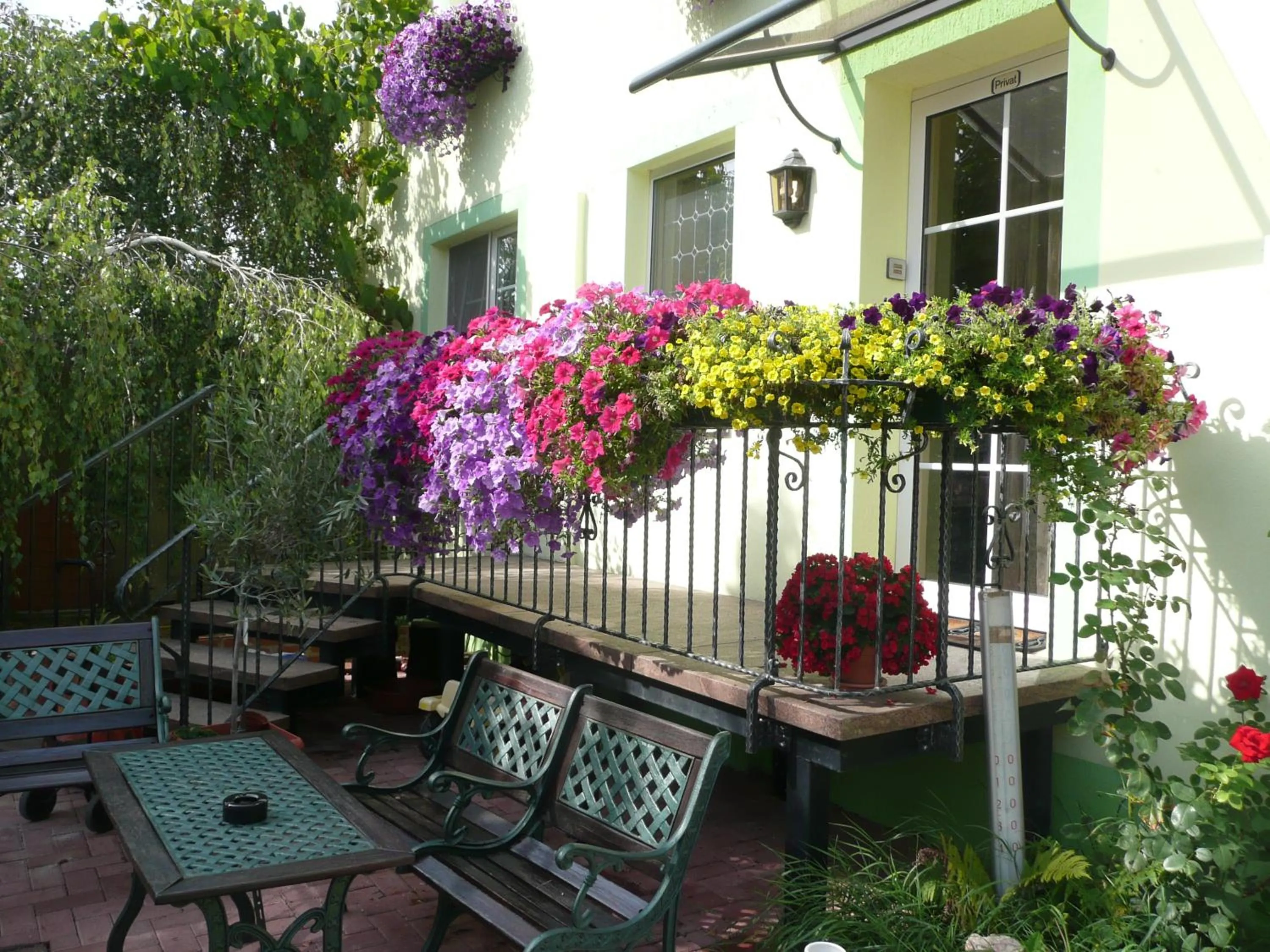 Area and facilities in Land-gut-Hotel Schenkenberger Hof