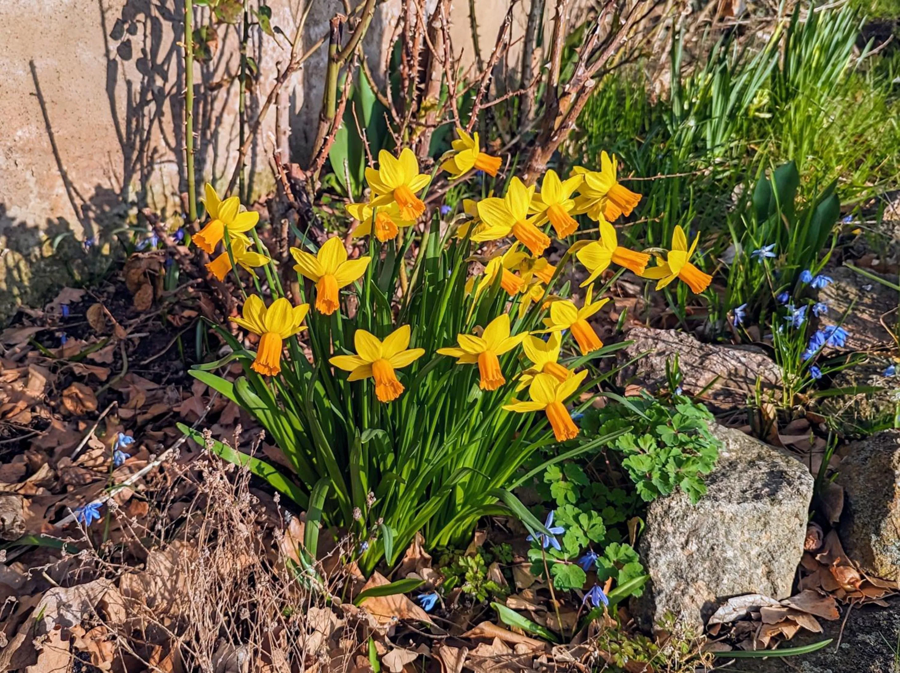 Property building in Land-gut-Hotel Schenkenberger Hof