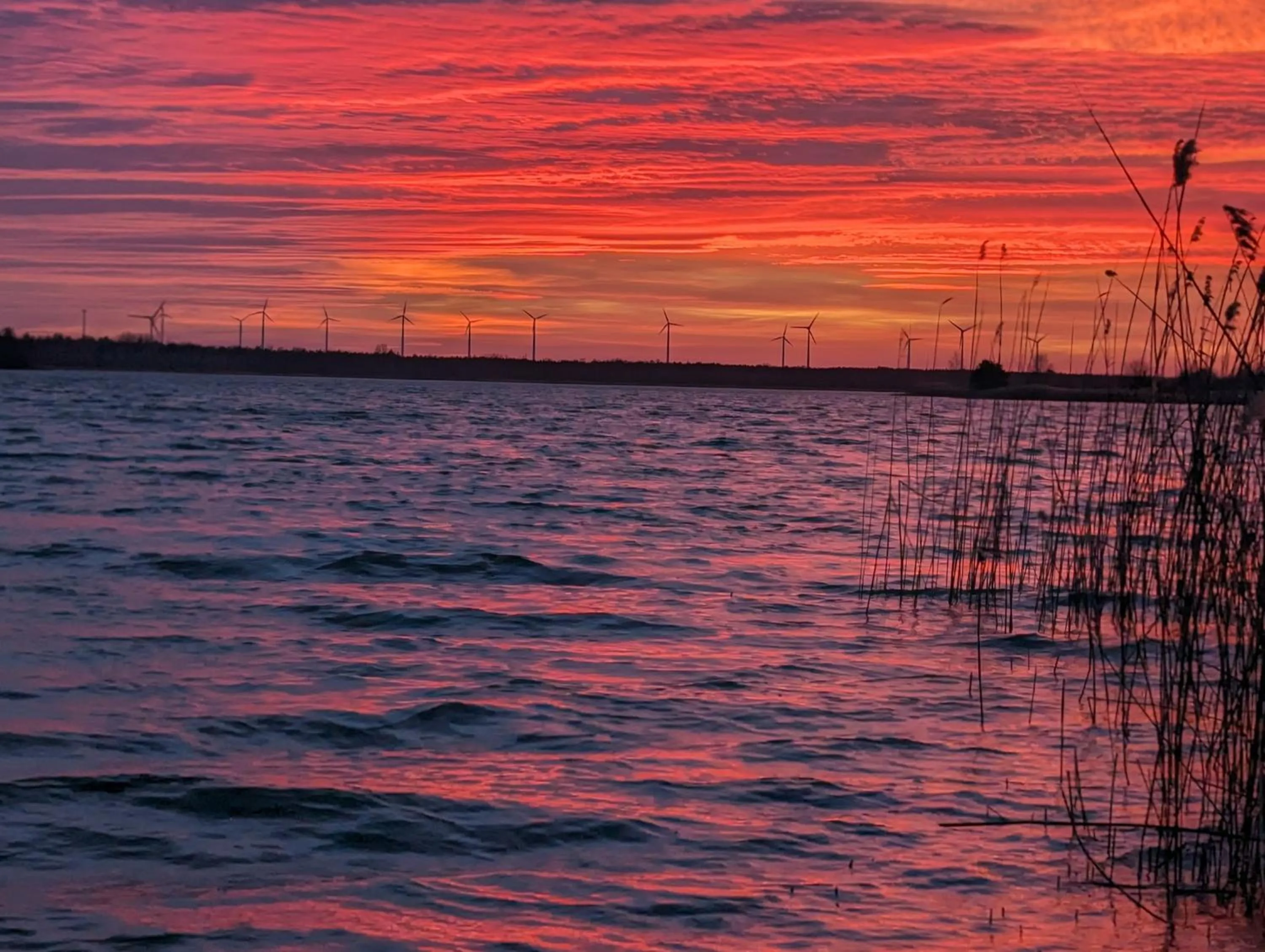 Natural landscape in Land-gut-Hotel Schenkenberger Hof