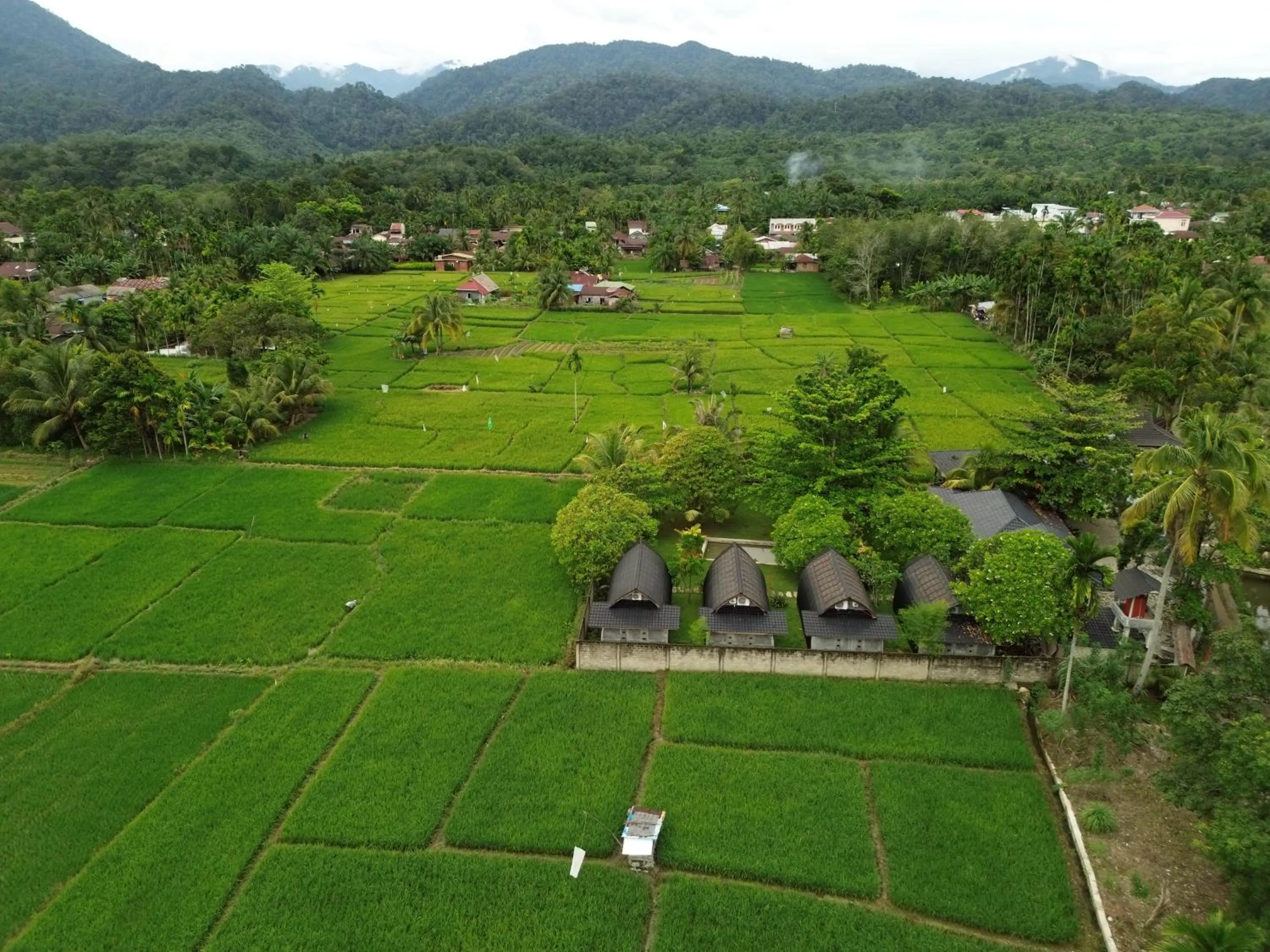 Gino's Place - Guest House & Jungle Trekking