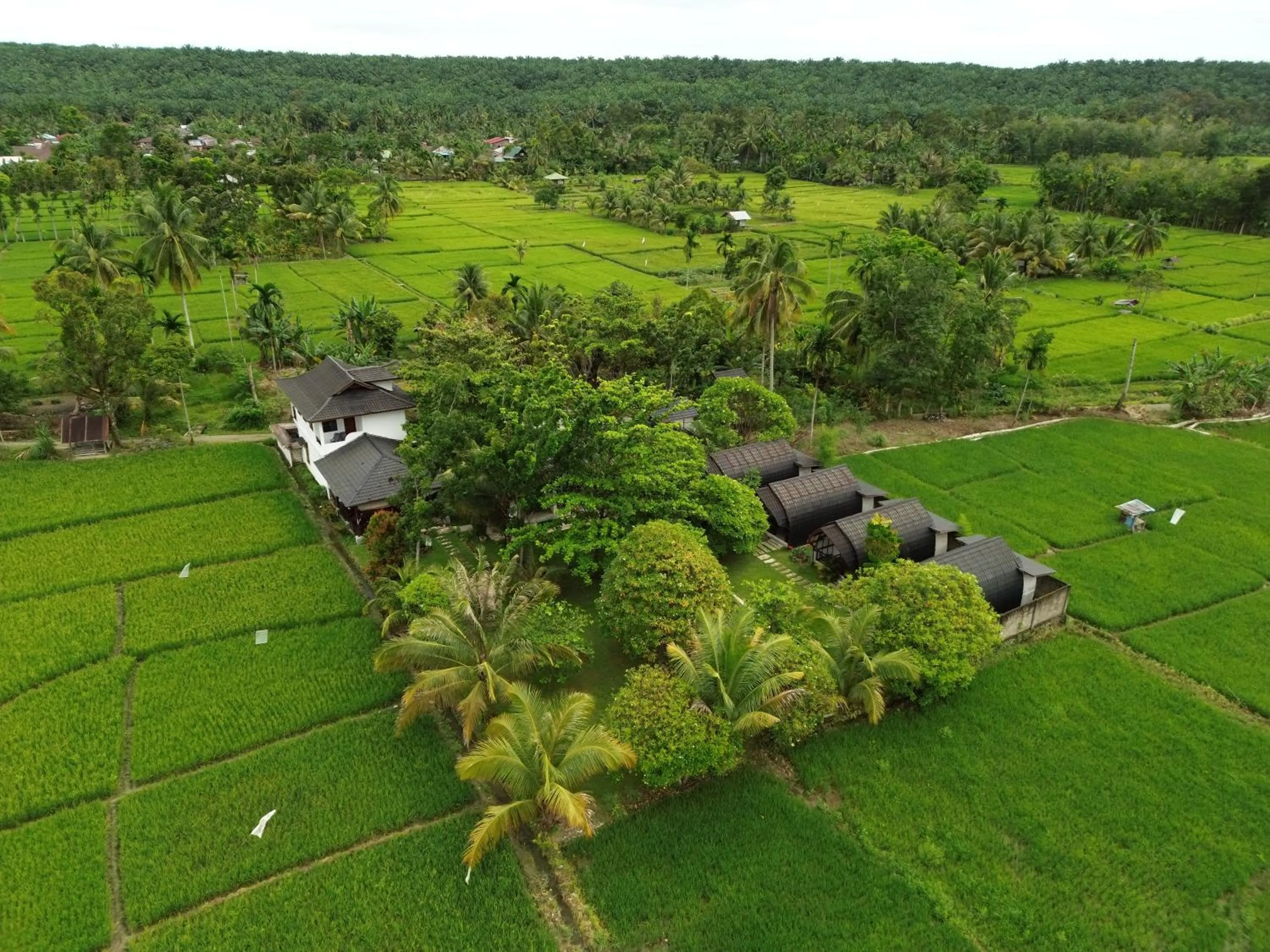 Gino's Place - Guest House & Jungle Trekking