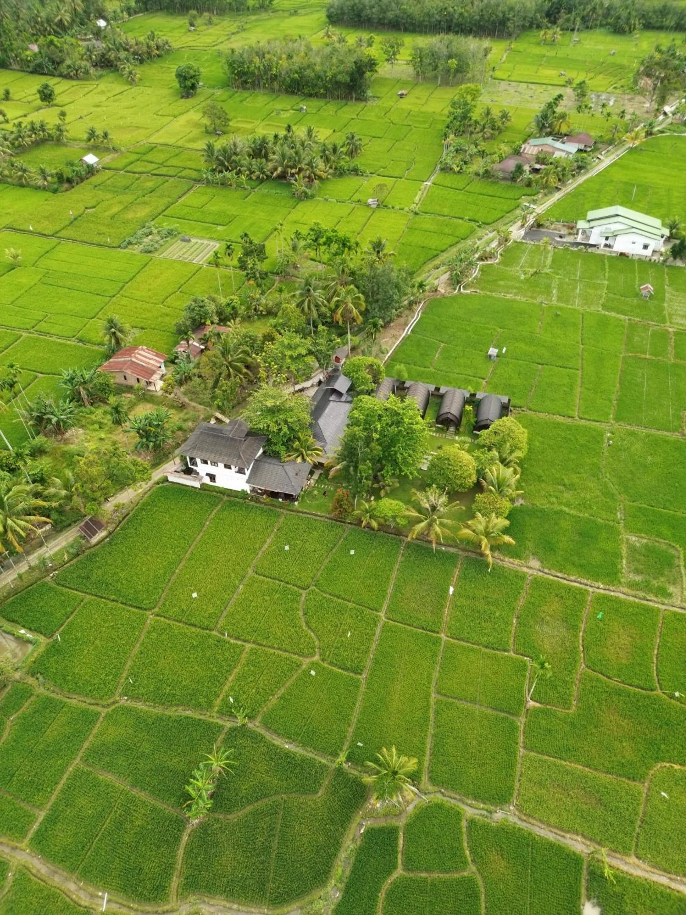 Gino's Place - Guest House & Jungle Trekking