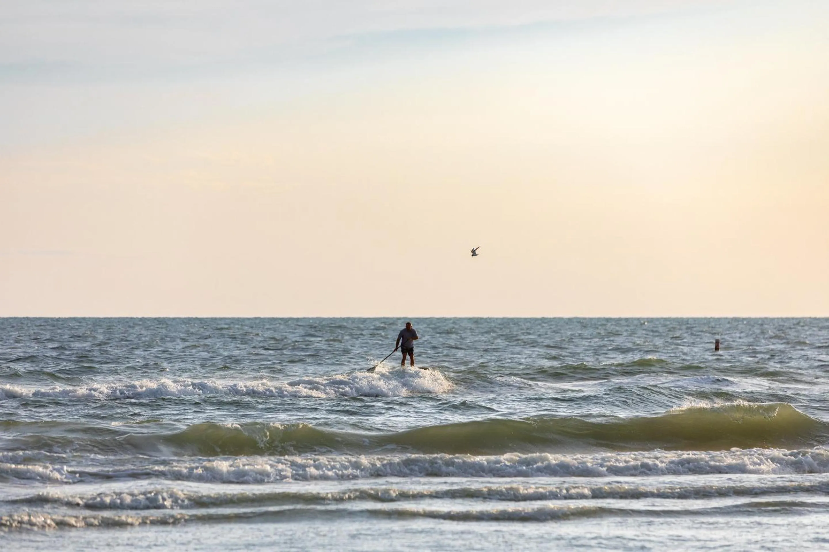 Activities in Grand Shores West