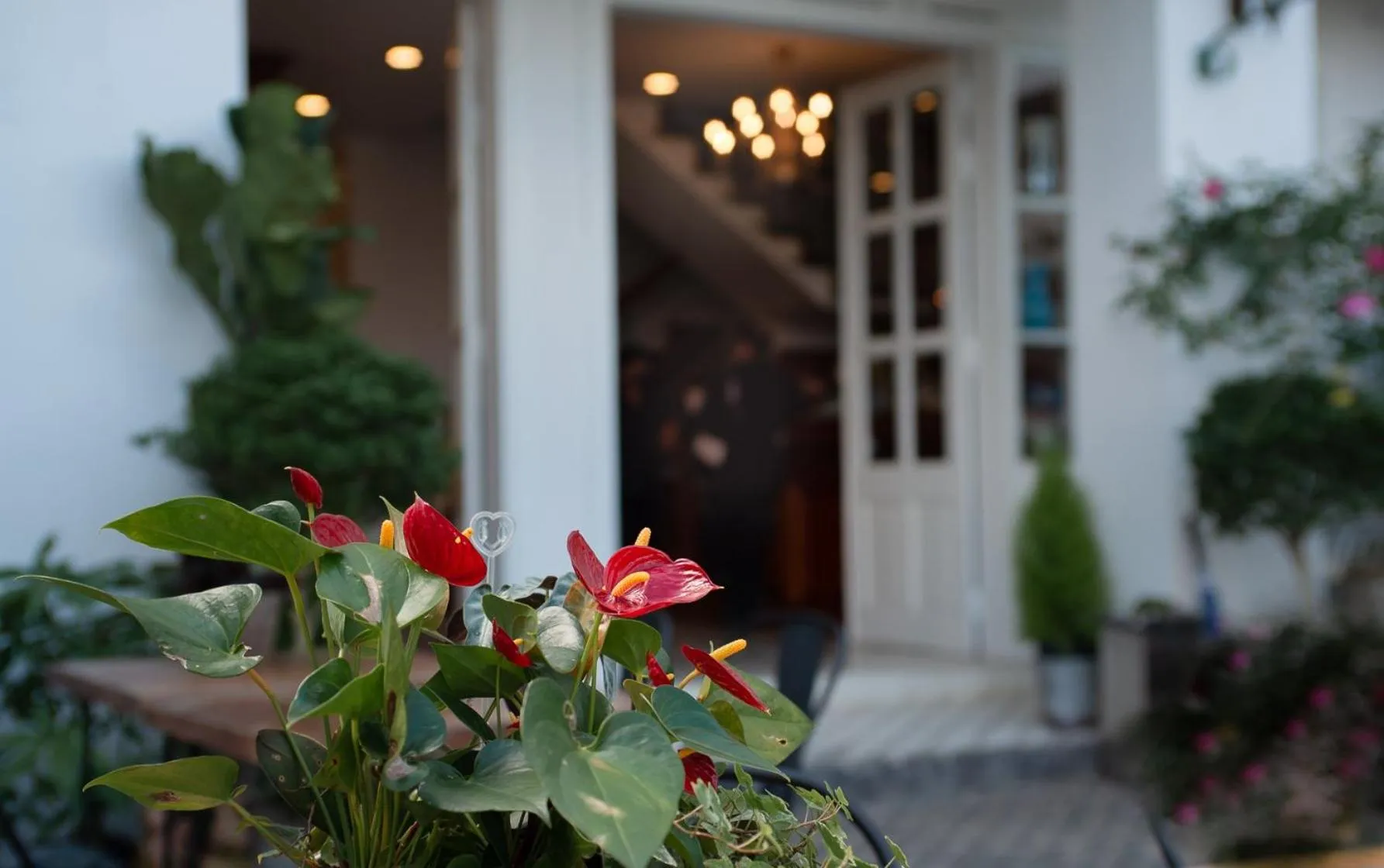 Garden in Le Soleil Boutique Hotel