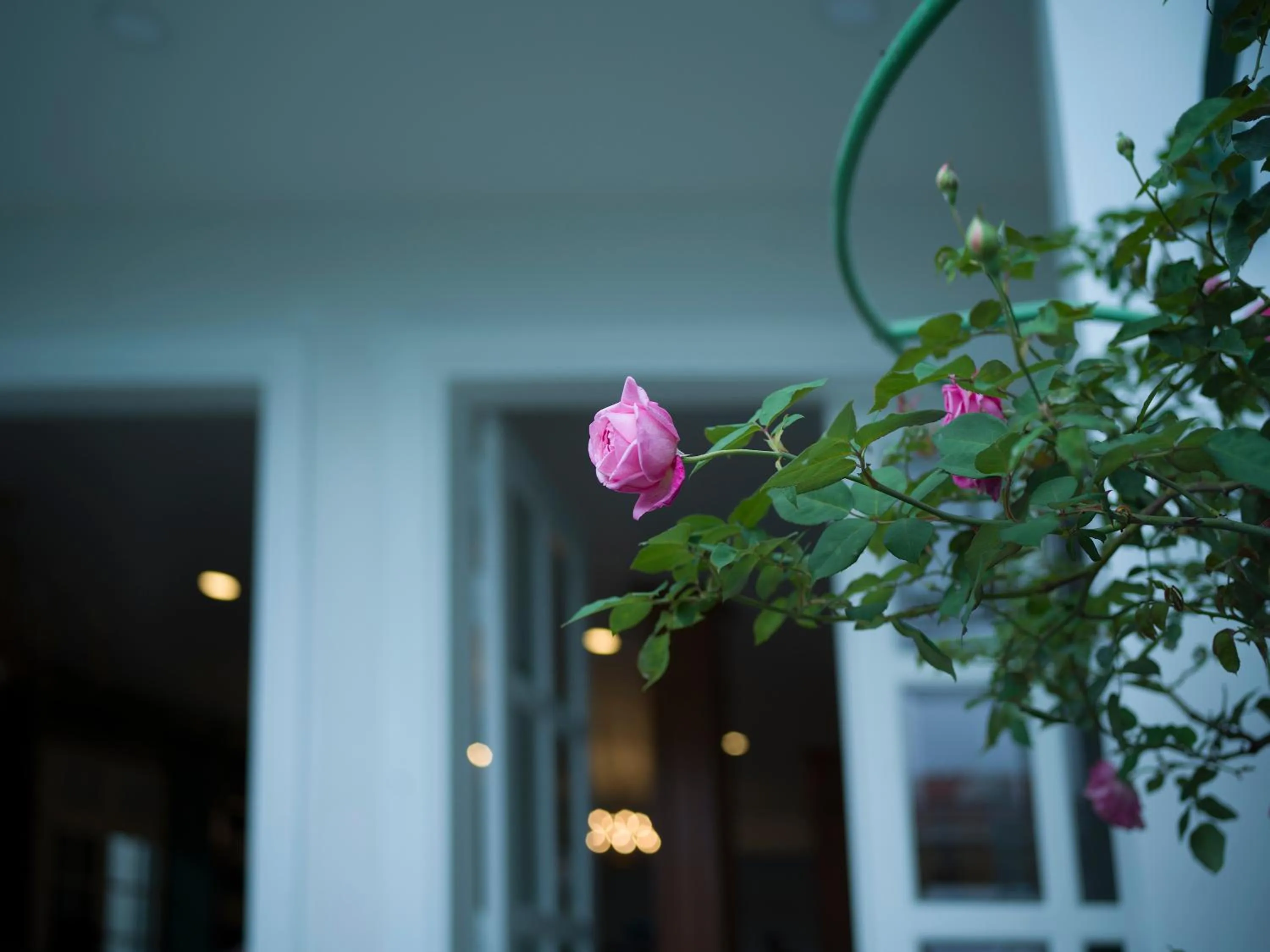 Decorative detail in Le Soleil Boutique Hotel