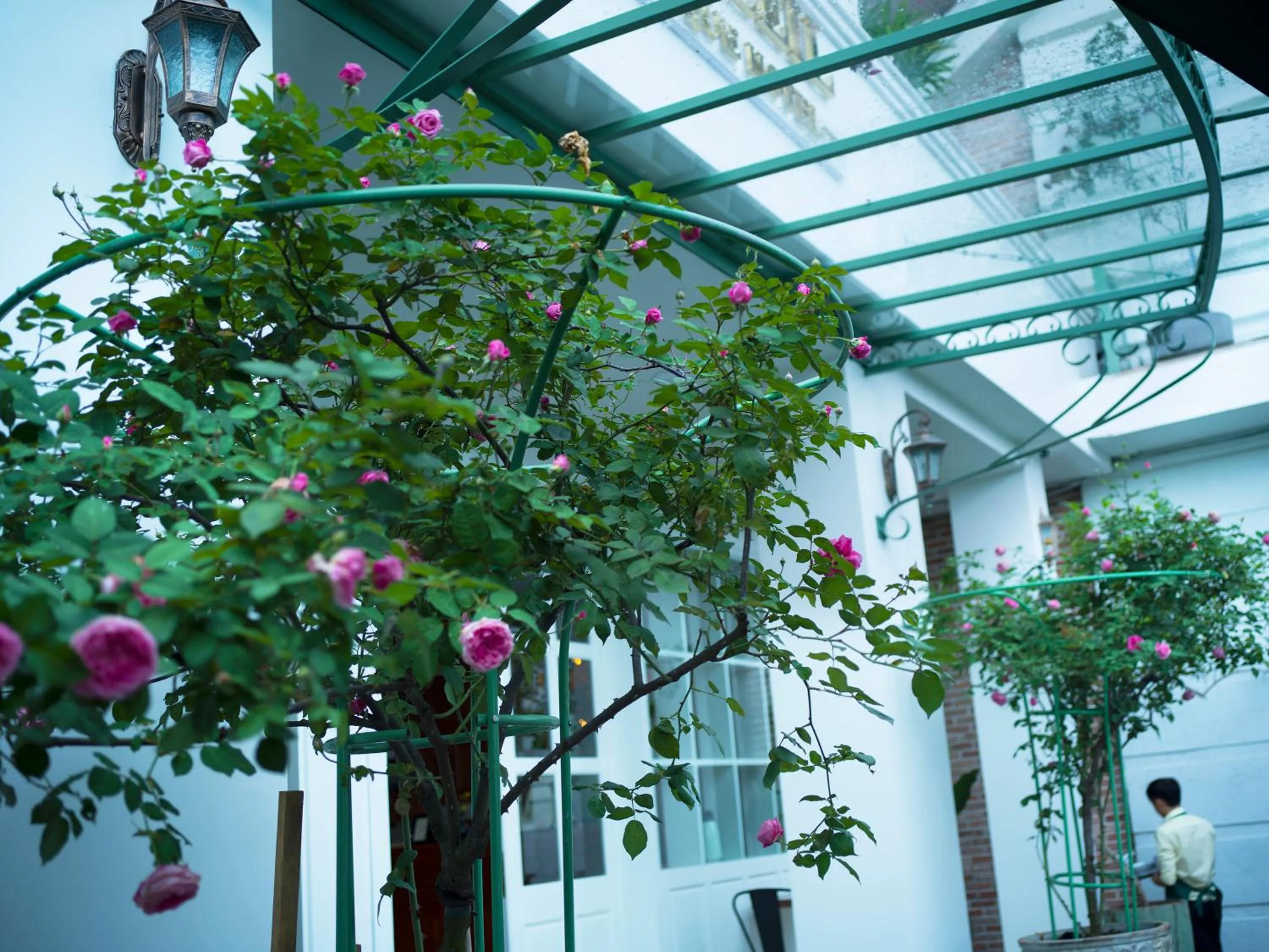 Decorative detail in Le Soleil Boutique Hotel