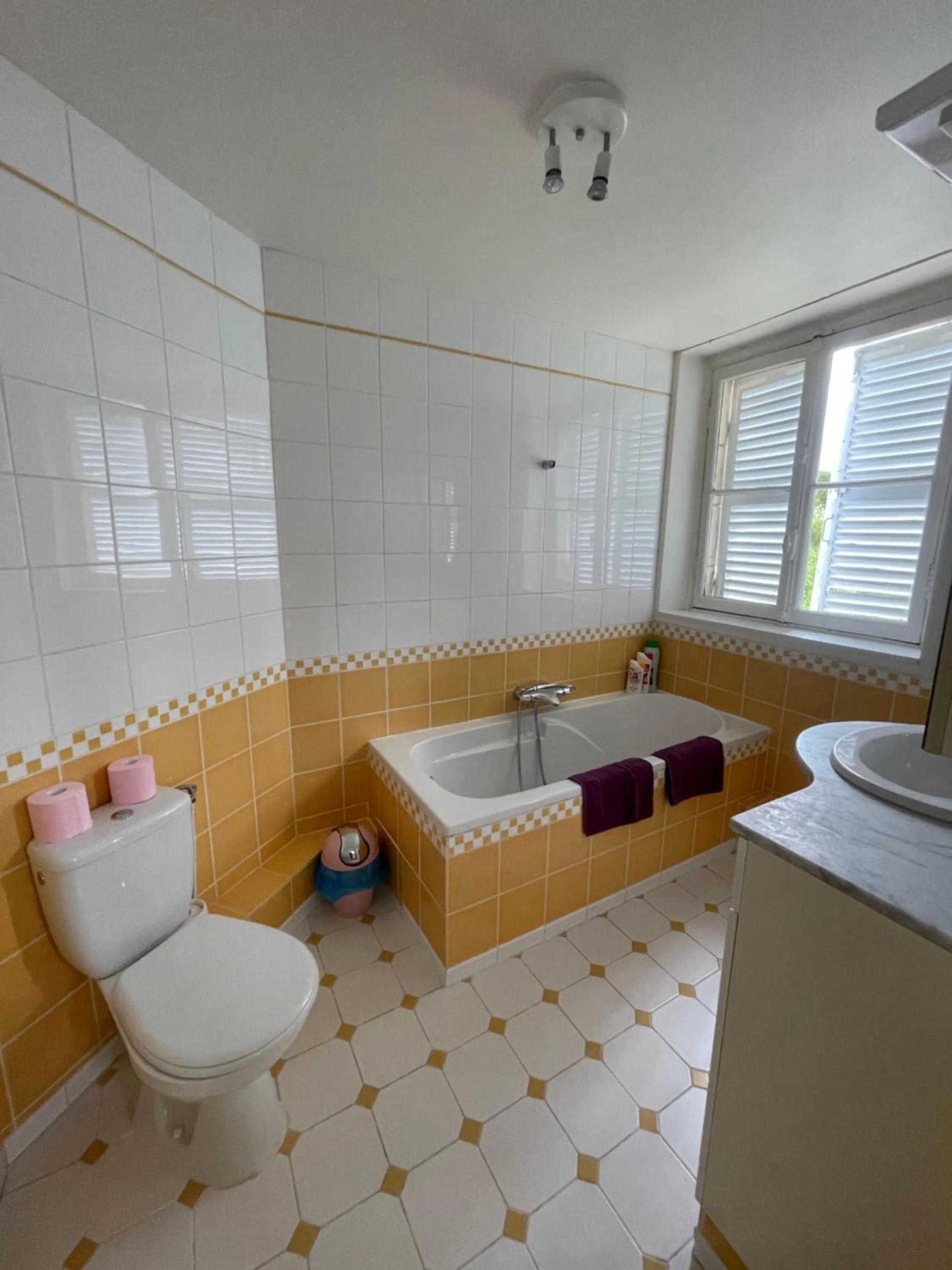 Toilet in Château du Boulay Morin