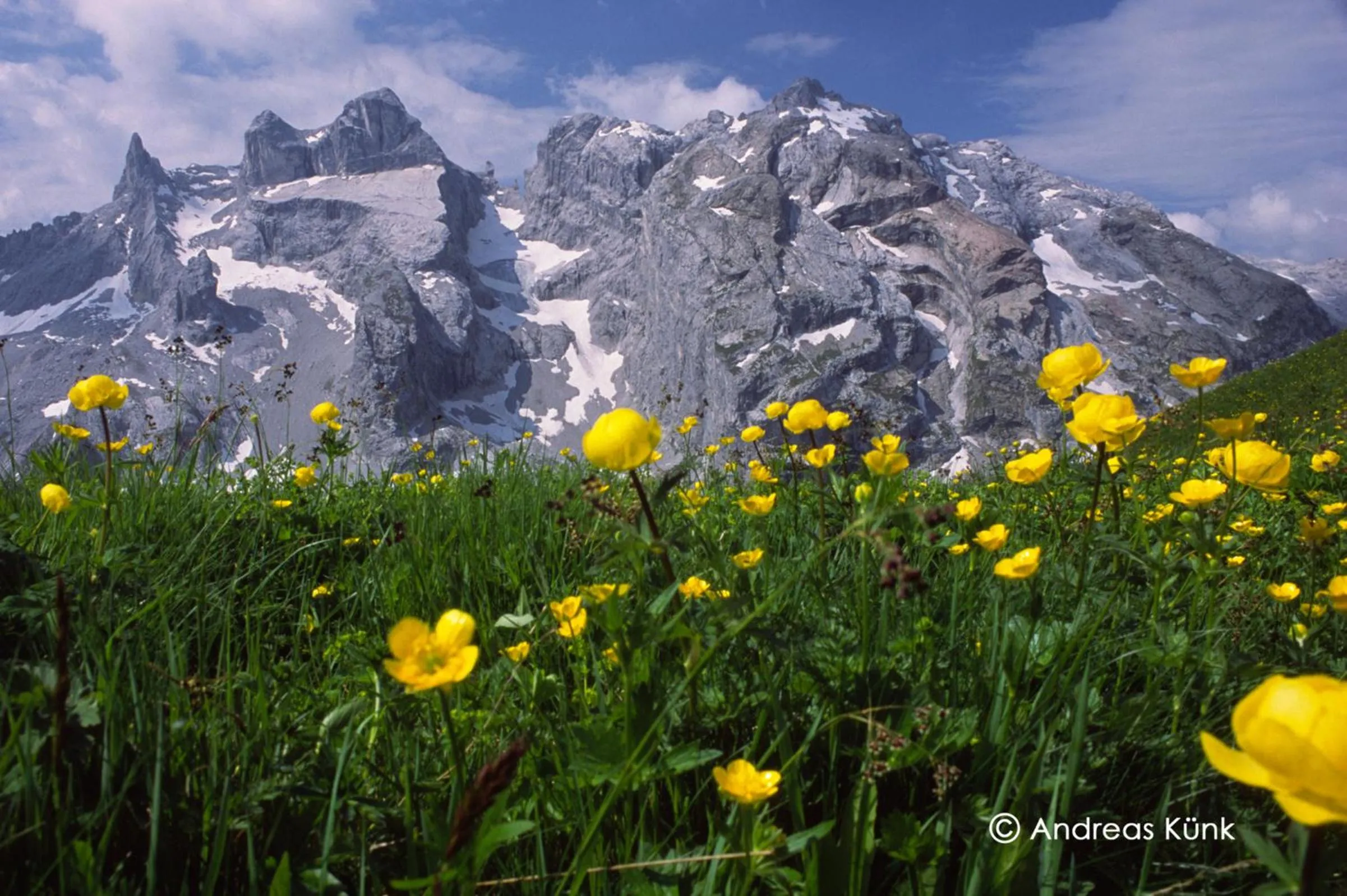 Natural landscape in Haus Schnetzer