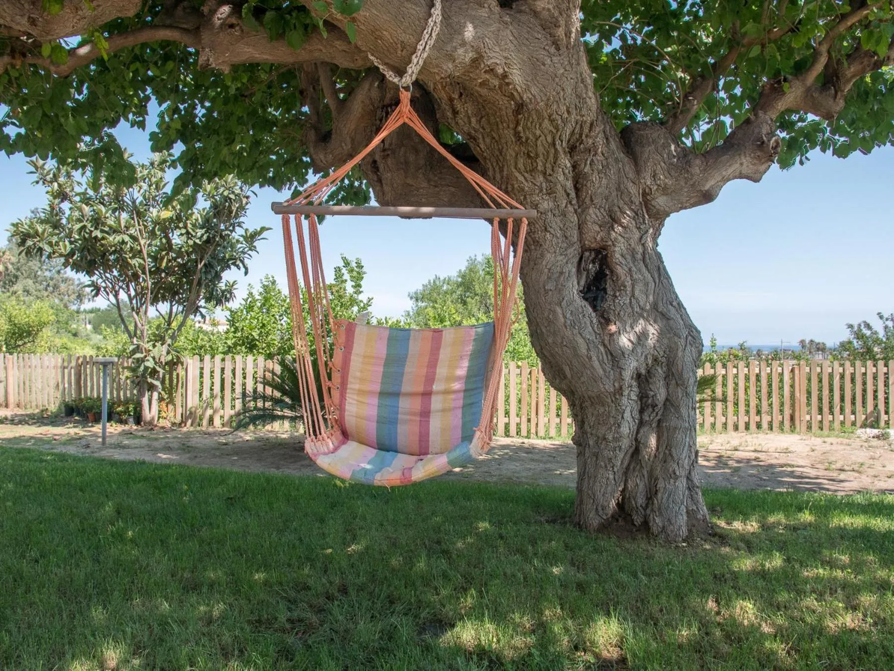 B&B Il Gelso Rooms