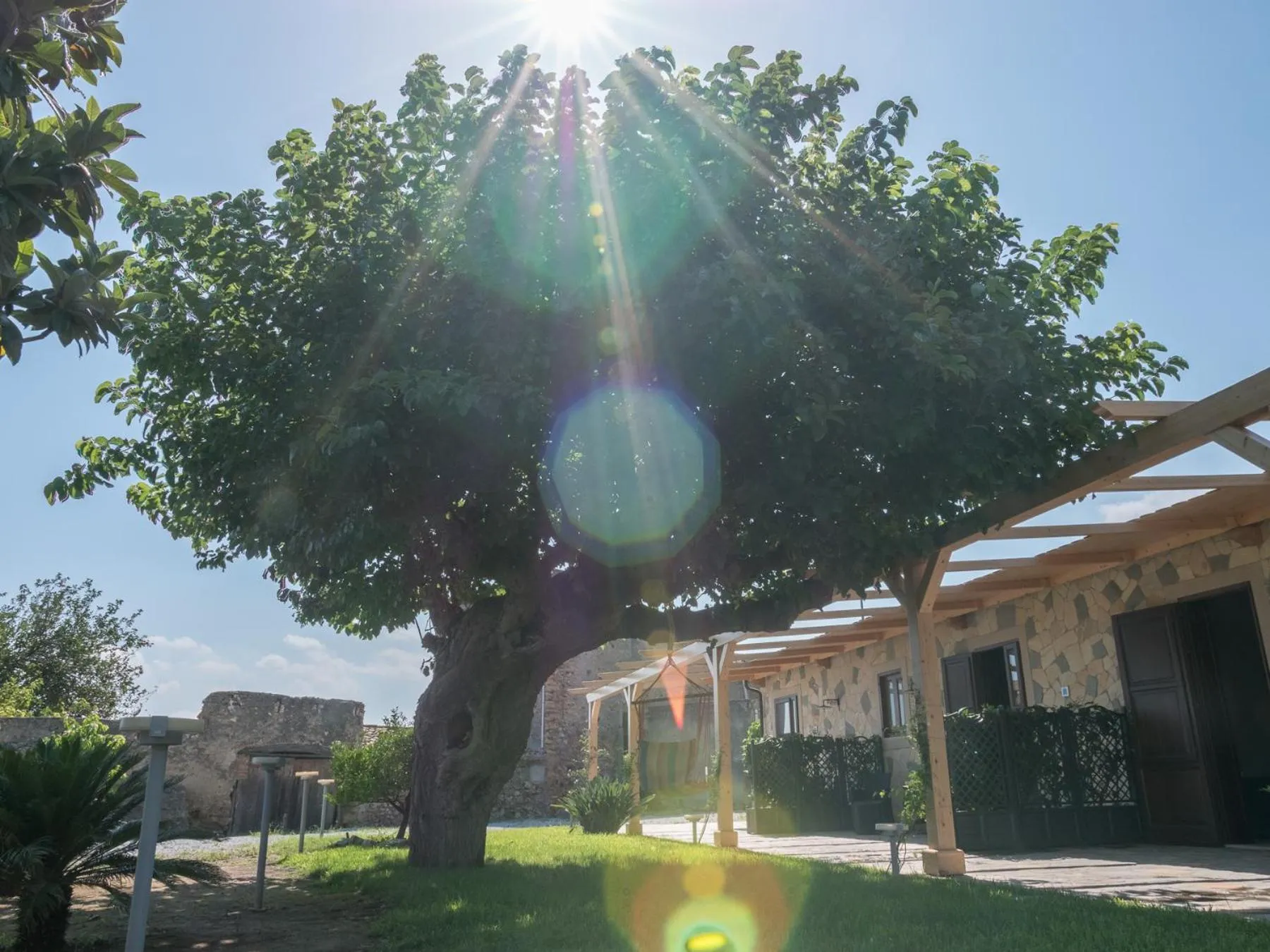 B&B Il Gelso Rooms