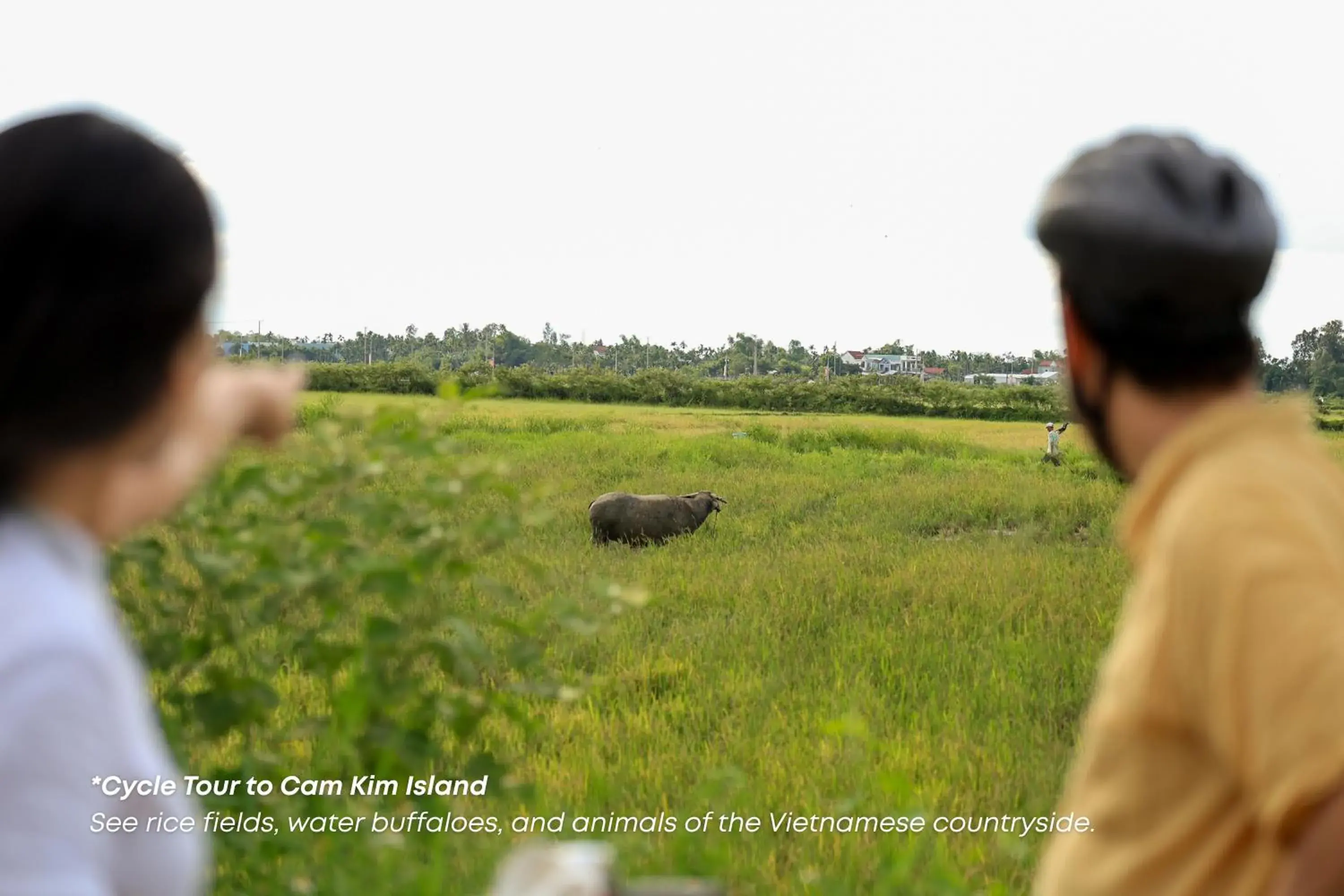 Hoianese Pool & Sunset Hotel - Cultural Experiential Hotel Hoianese Pool & Sunset Hotel - Cultural Experiential Hotel