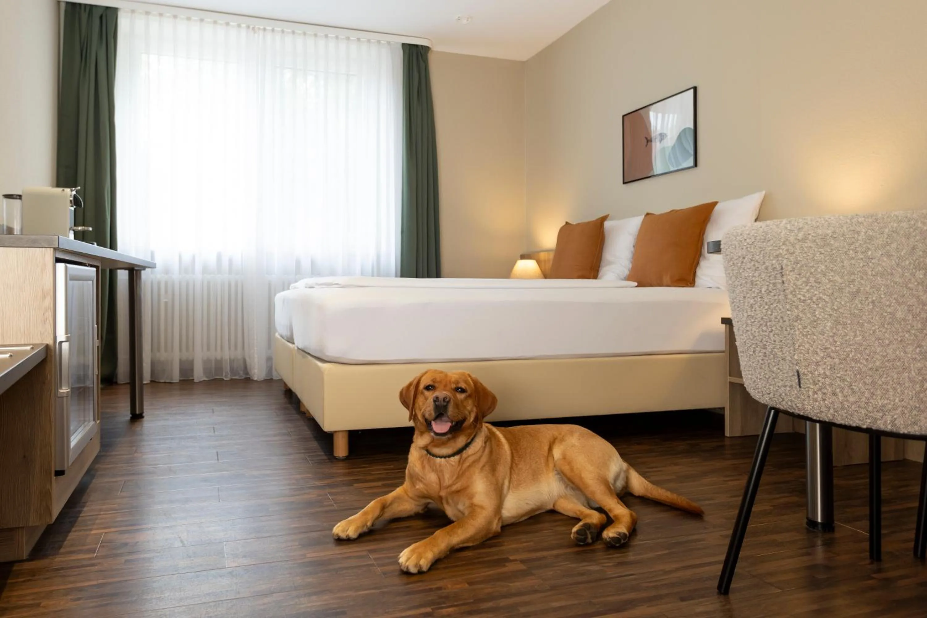 Pets, Bed in Hotel Fischzucht in Würzburg