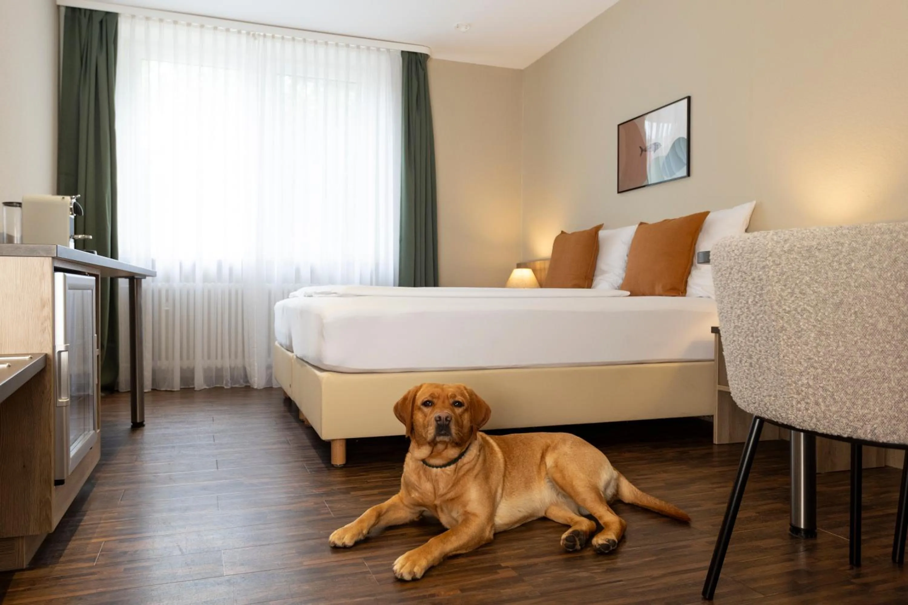 Pets, Bed in Hotel Fischzucht in Würzburg