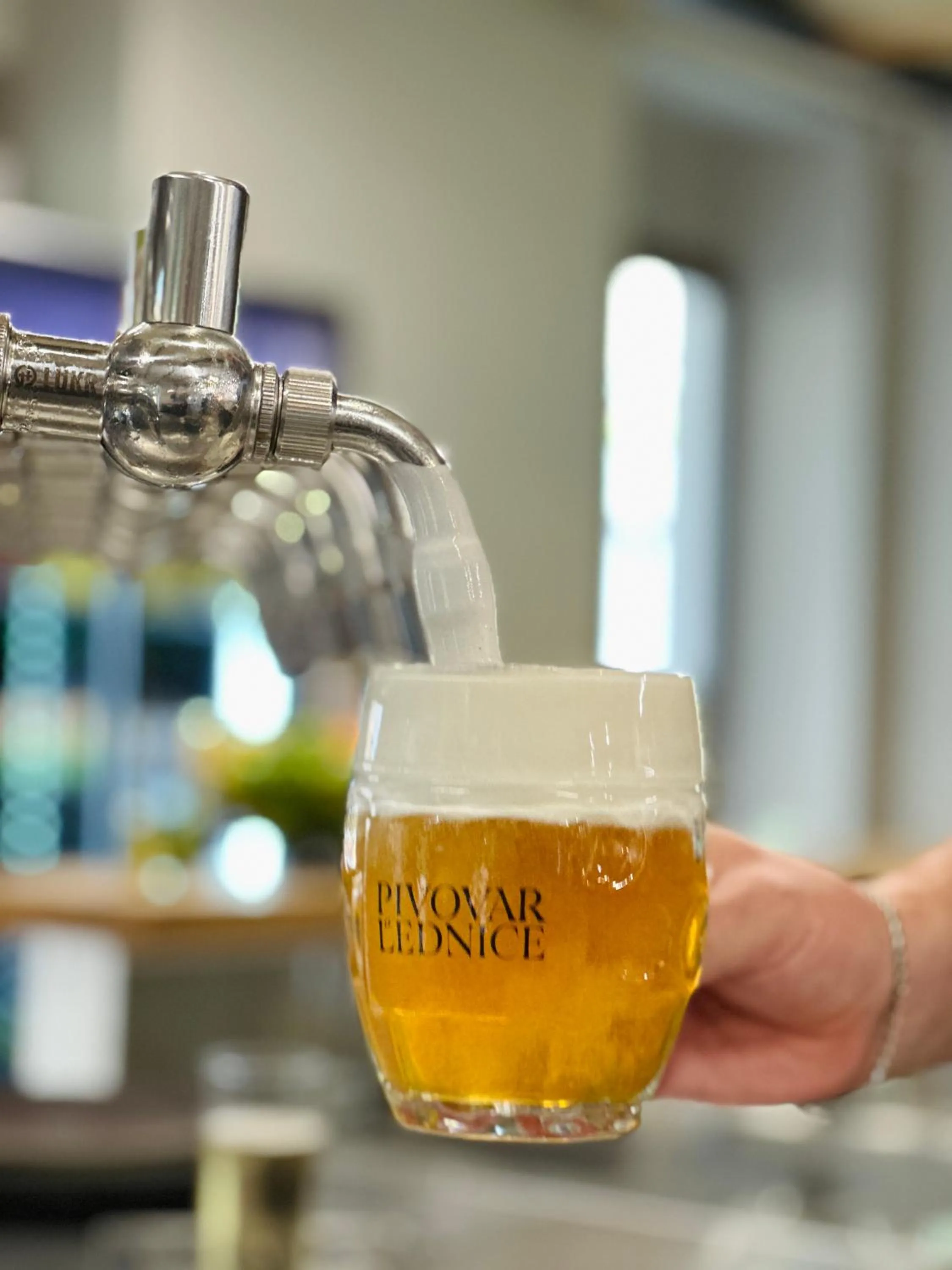 Restaurant/places to eat in Resort Lednice - Eisgrub