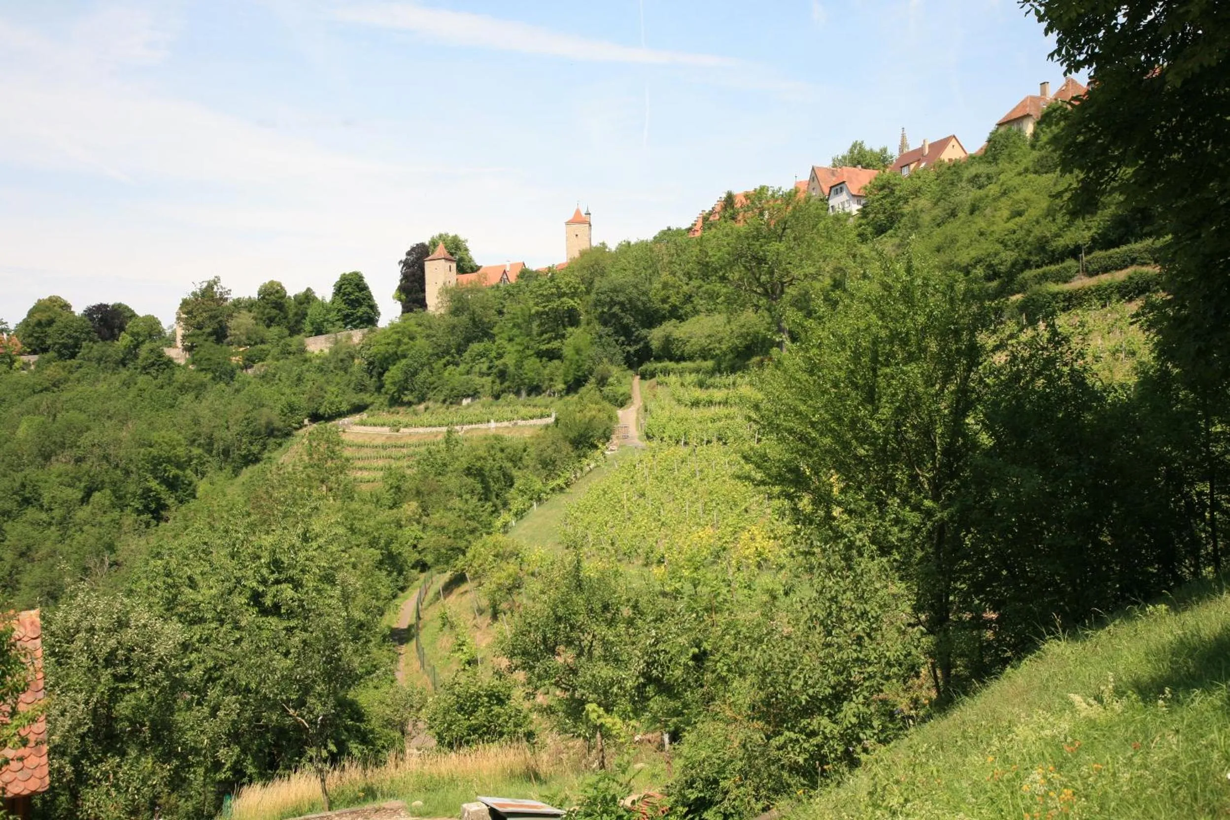 Area and facilities in Glocke Weingut und Hotel