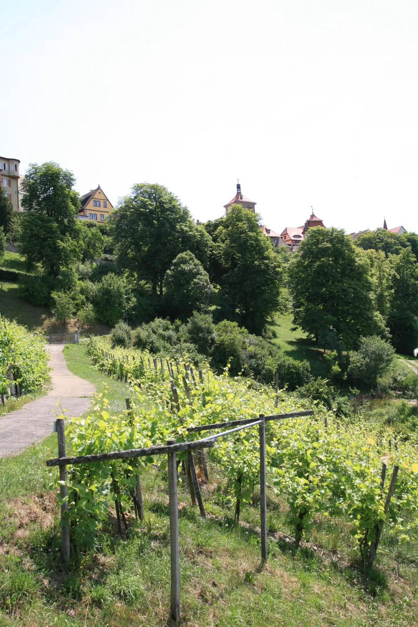 Area and facilities in Glocke Weingut und Hotel