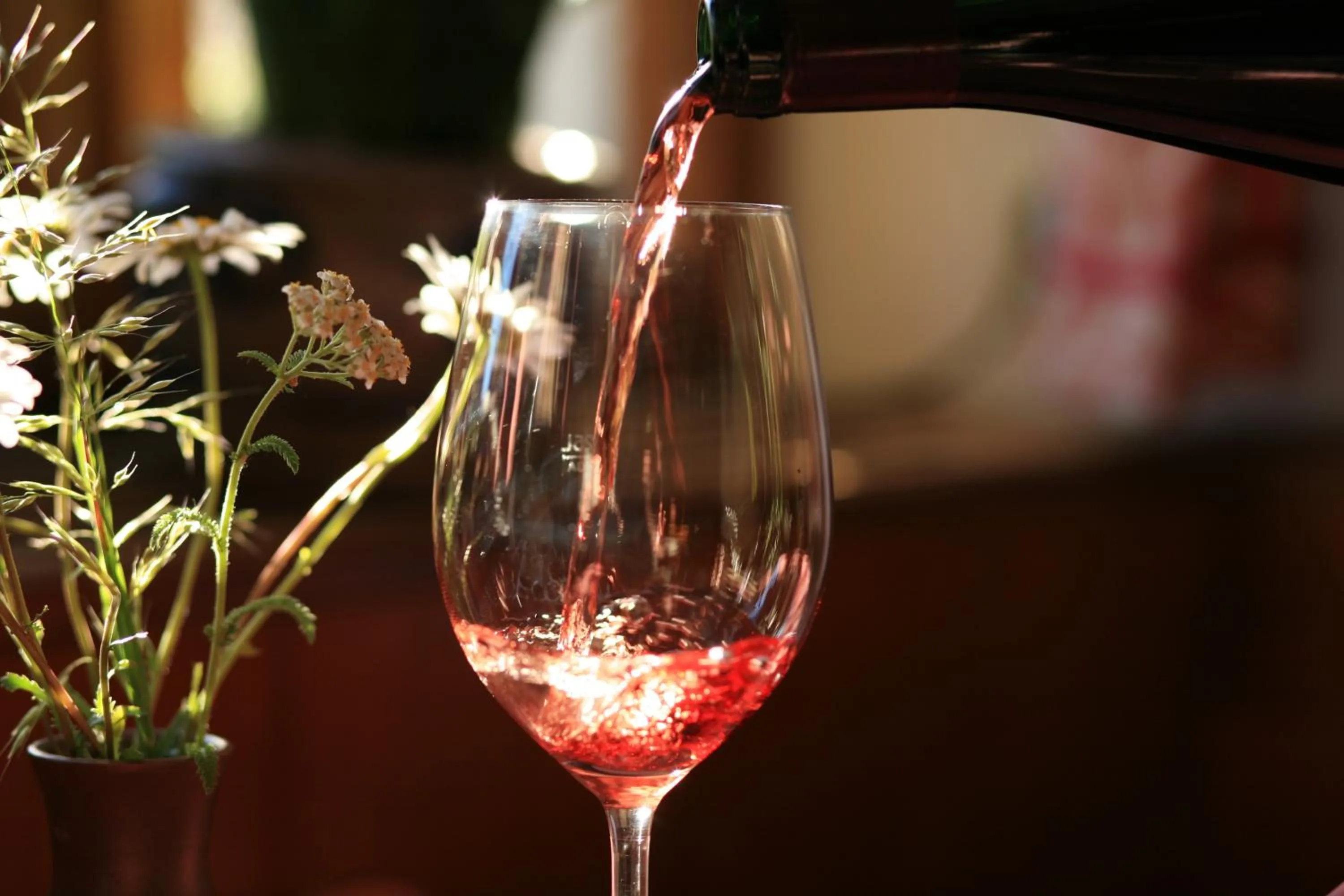 Food and drinks in Glocke Weingut und Hotel