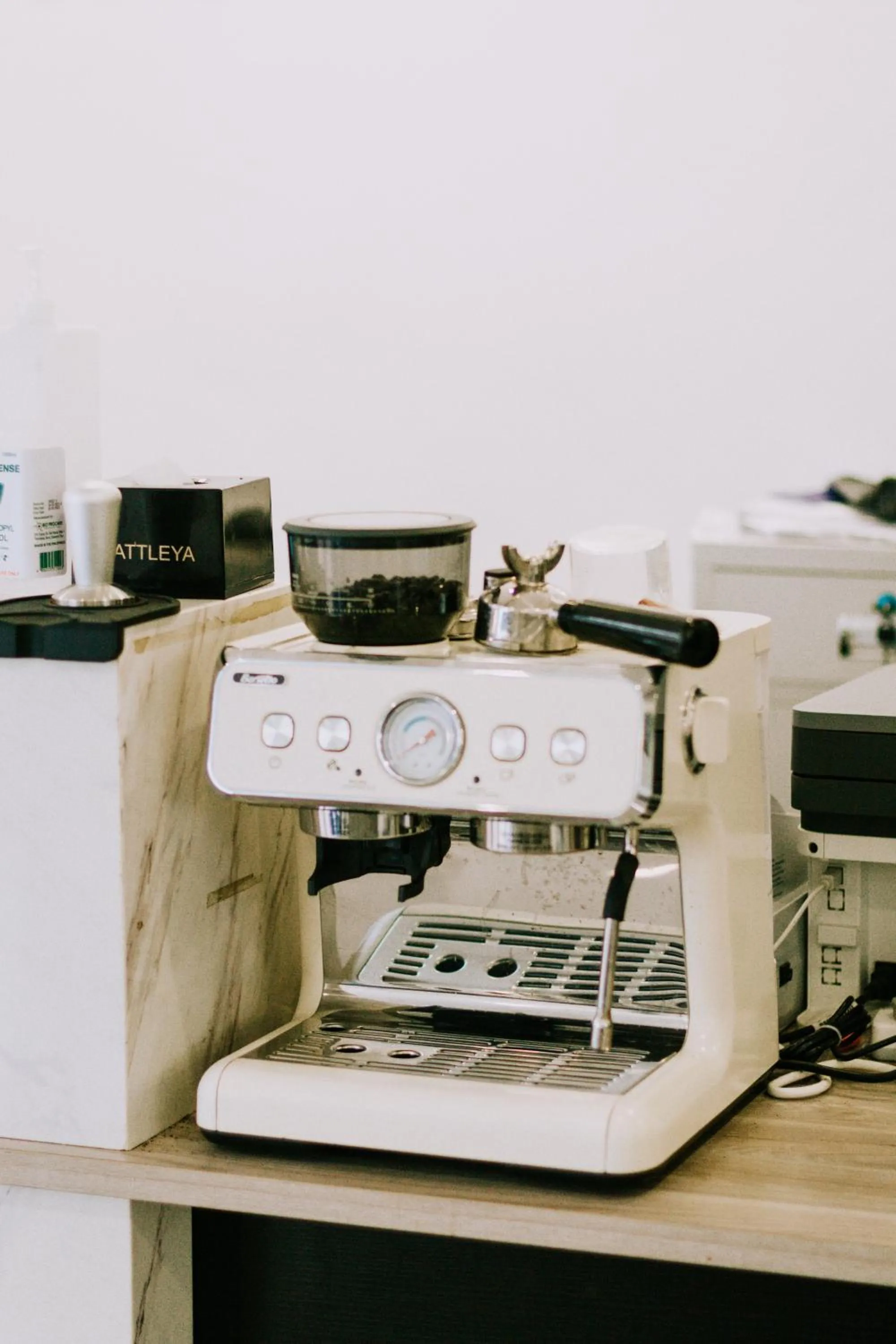 Lobby or reception in Bohol Cattleya Resort