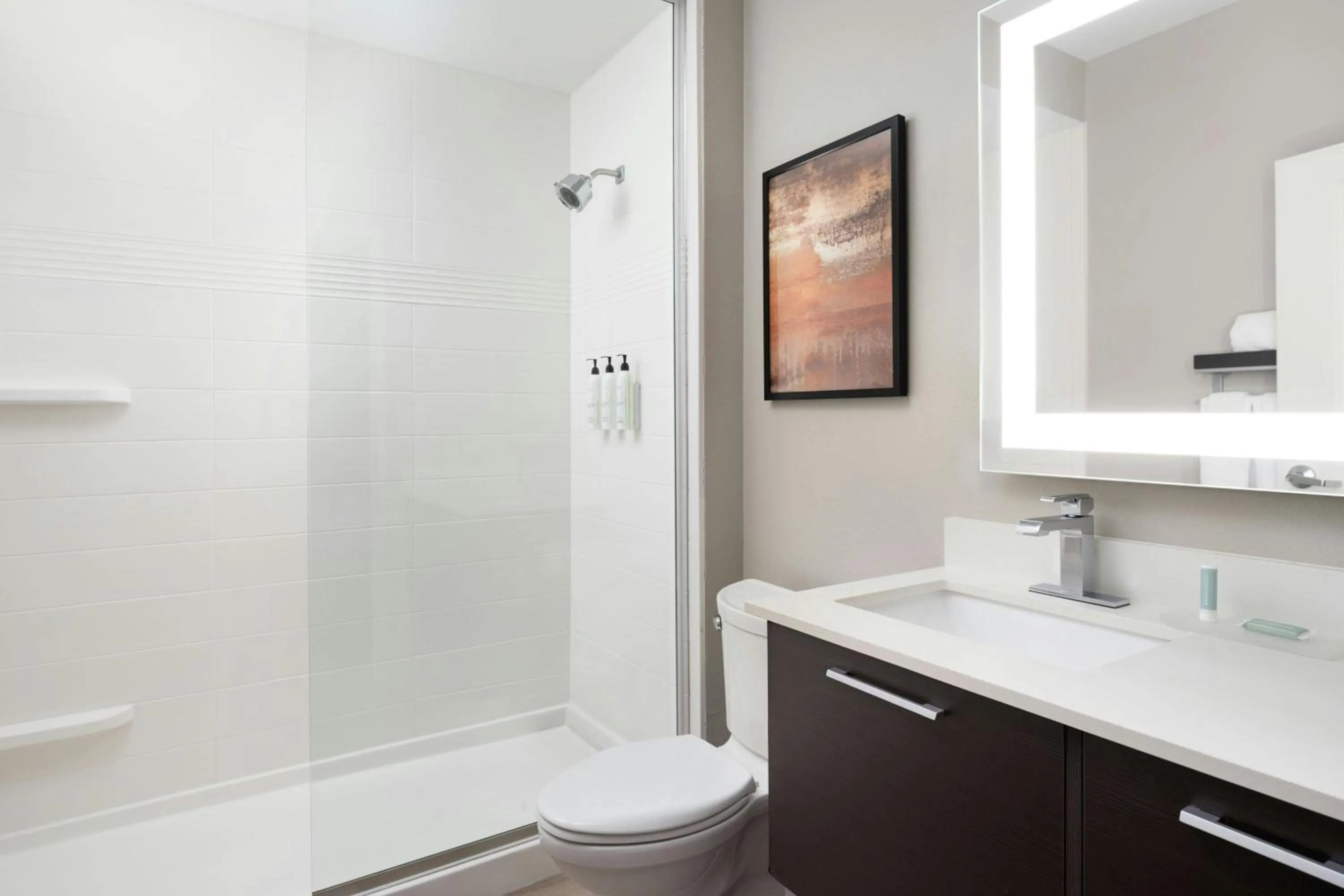 Bathroom in TownePlace Suites by Marriott Houston Hobby Airport