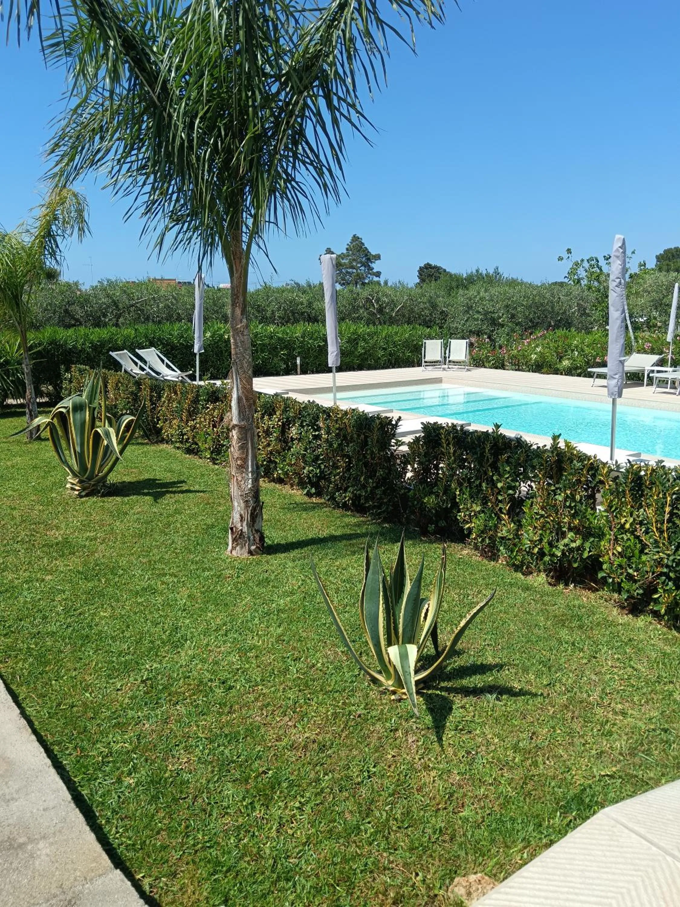 Garden in Inkantu B&B