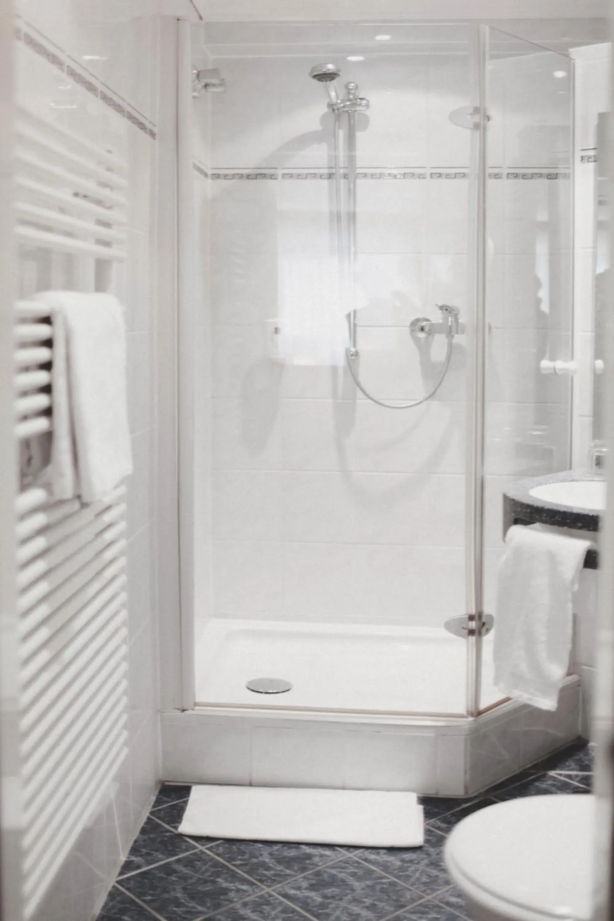 Hotel Löwen-Seckenheim Hotel Löwen-Seckenheim