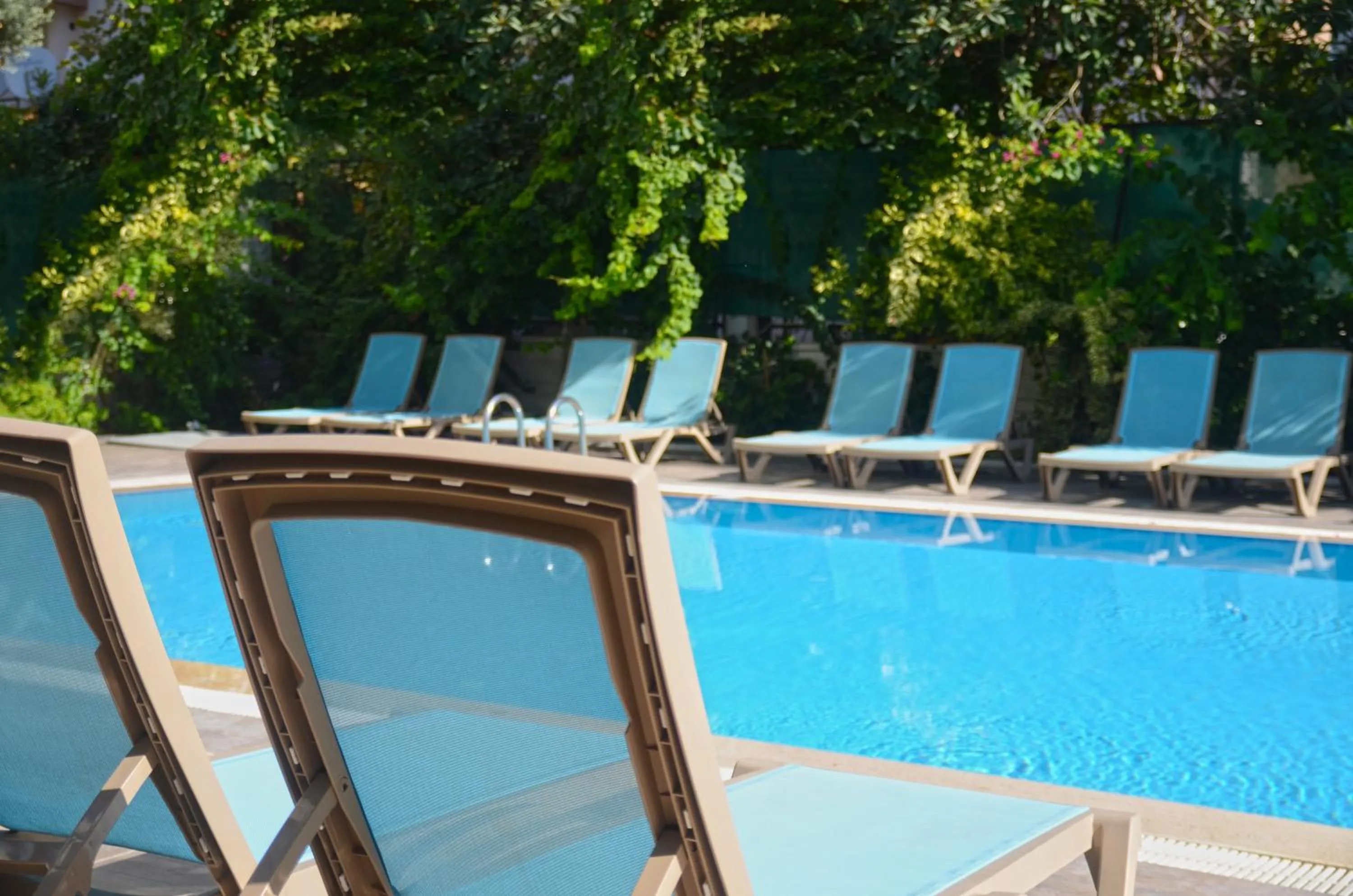 Pool view in Citrus Park Hotel
