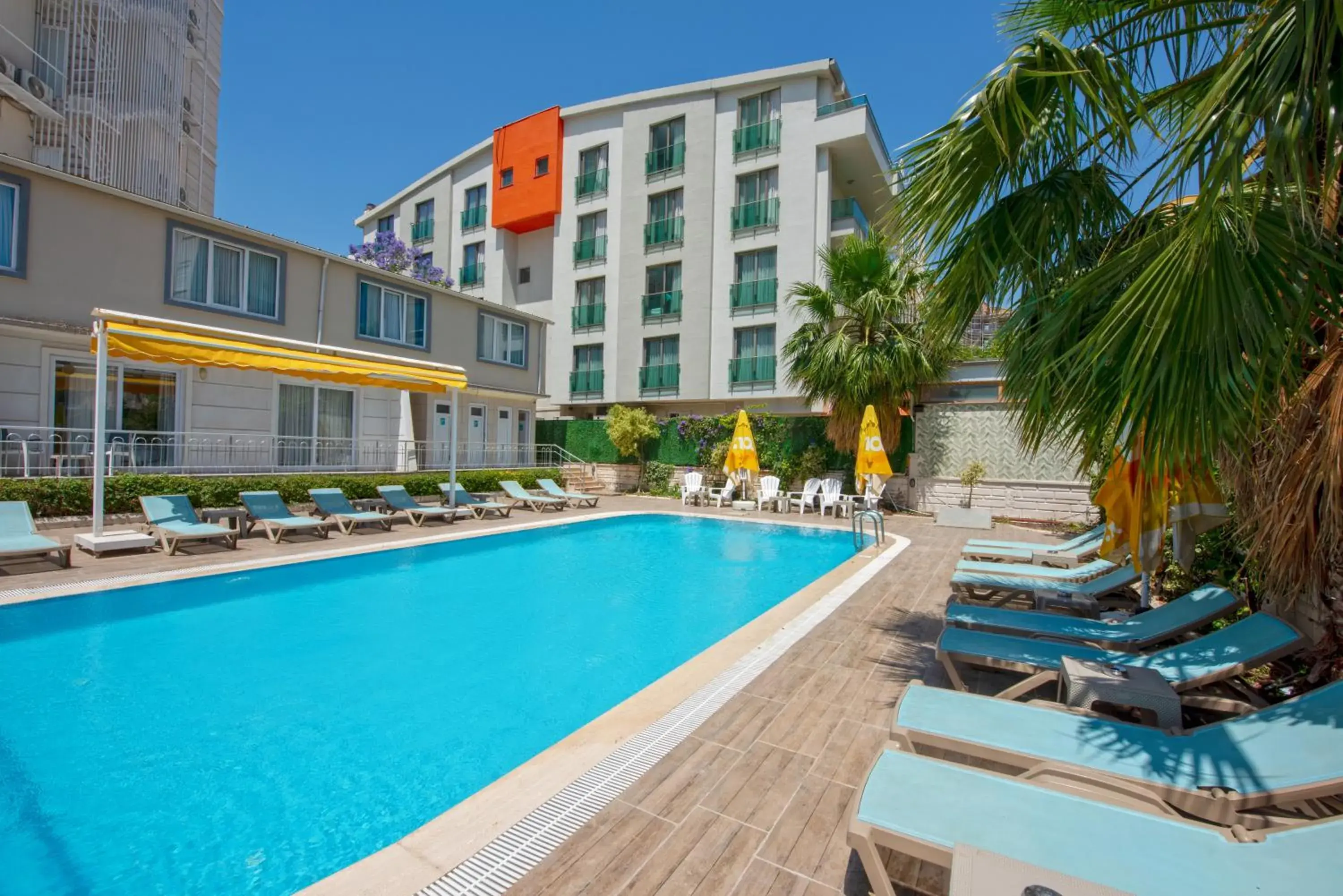 Pool view in Citrus Park Hotel Pool view in Citrus Park Hotel