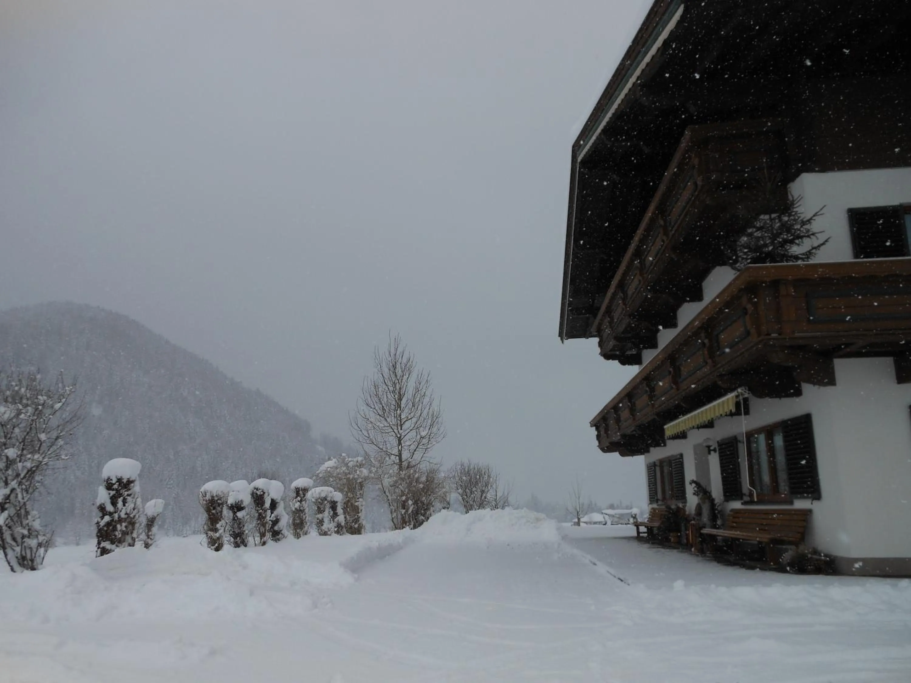 Winter in Schneiderbauer