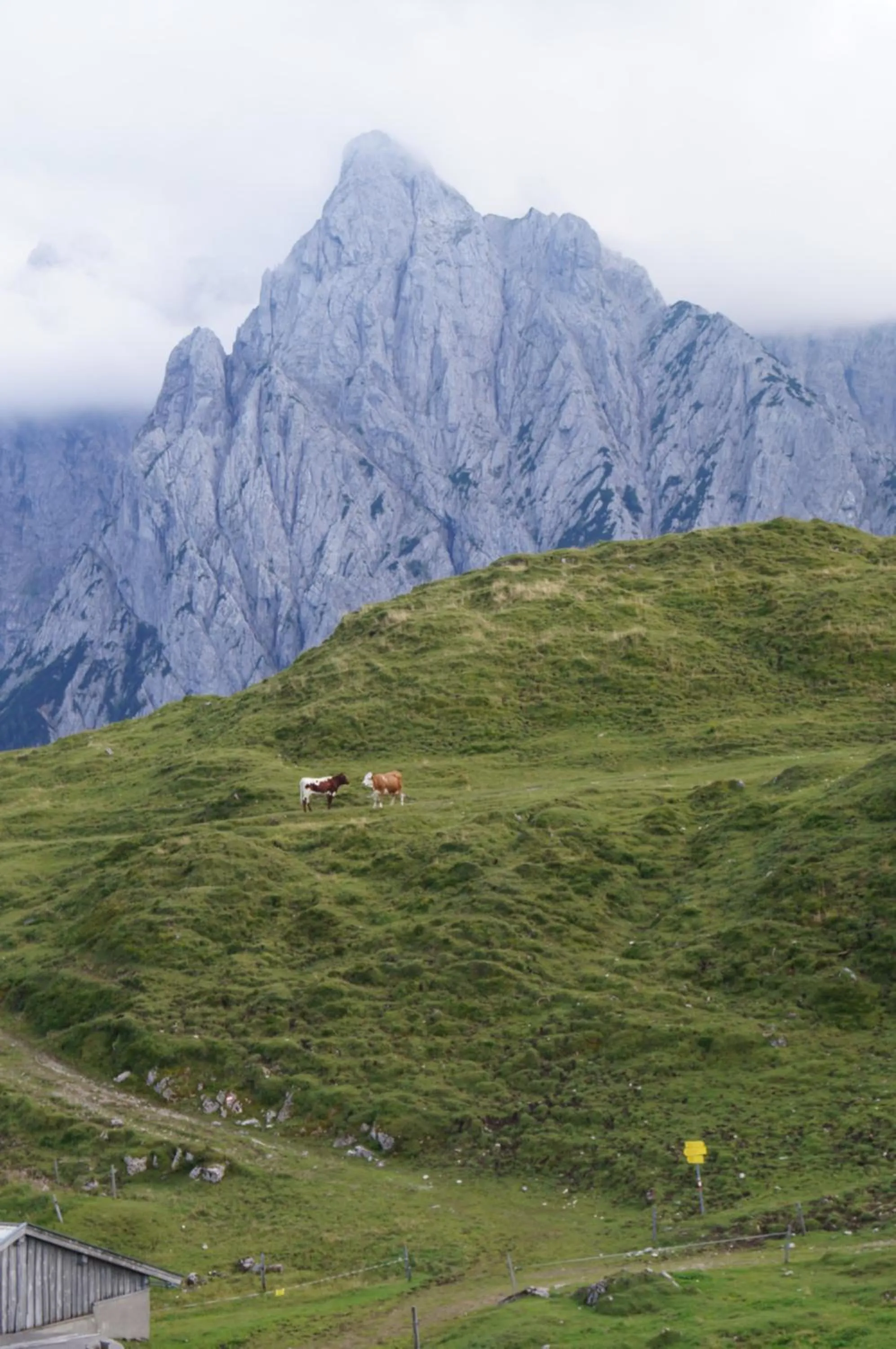 Hiking in Schneiderbauer