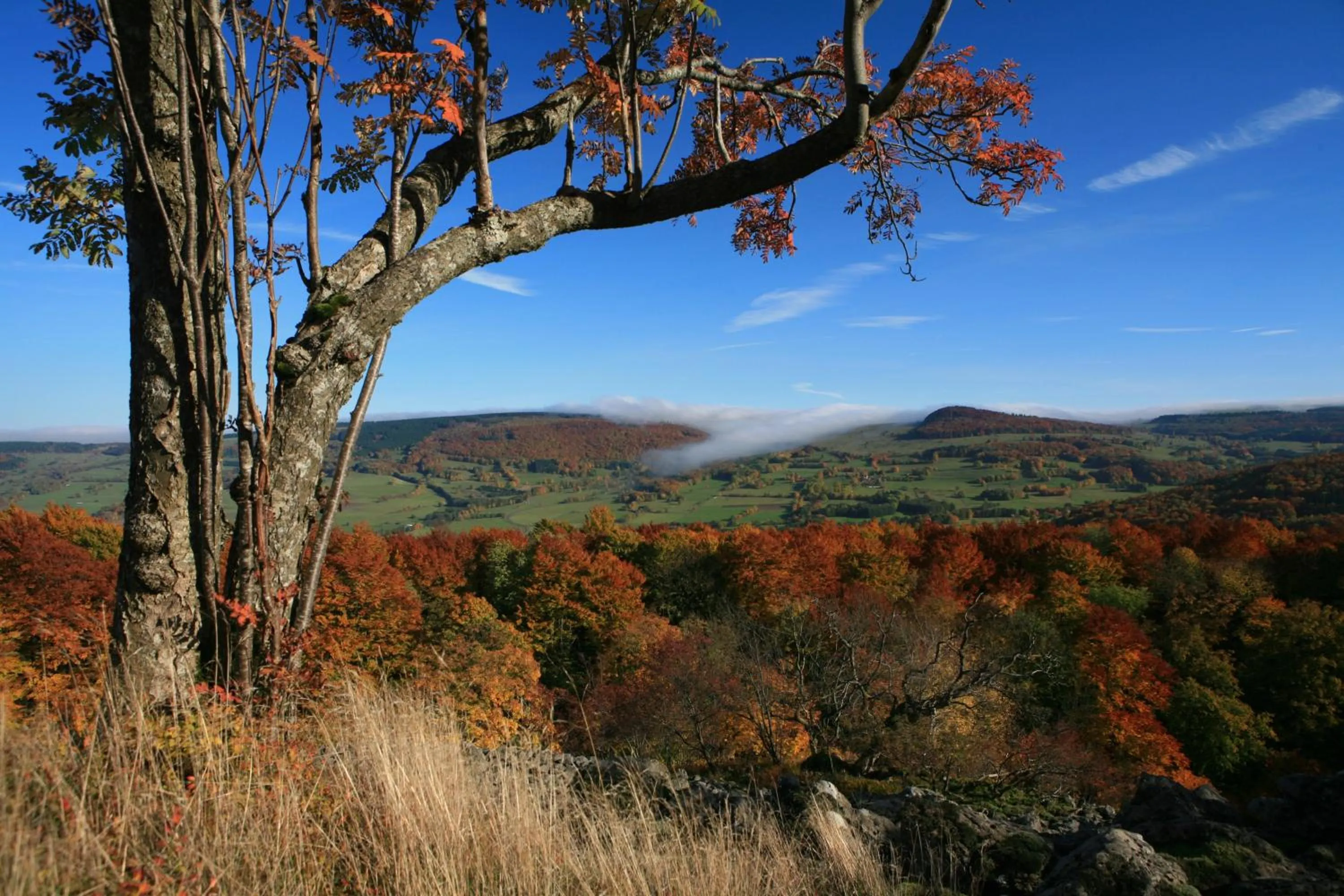 Natural landscape in Rhön Park Aktiv Resort