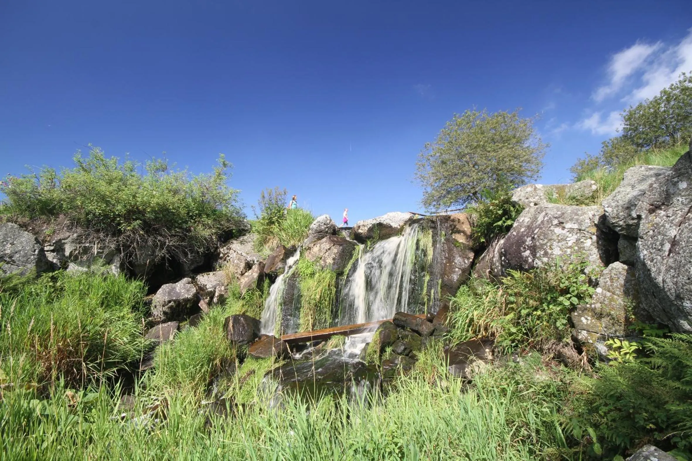 Natural landscape in Rhön Park Aktiv Resort