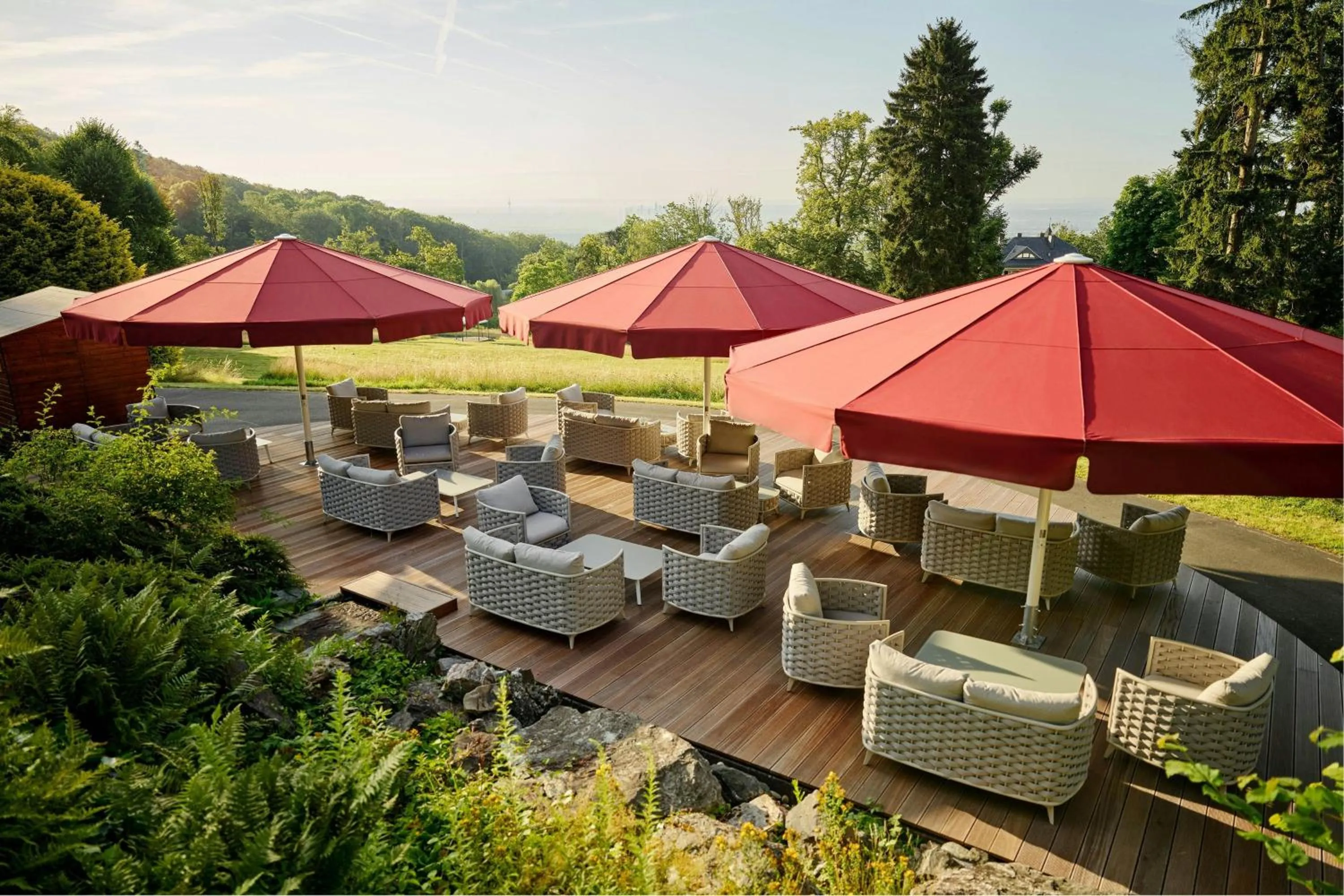 Other in Falkenstein Grand, Autograph Collection