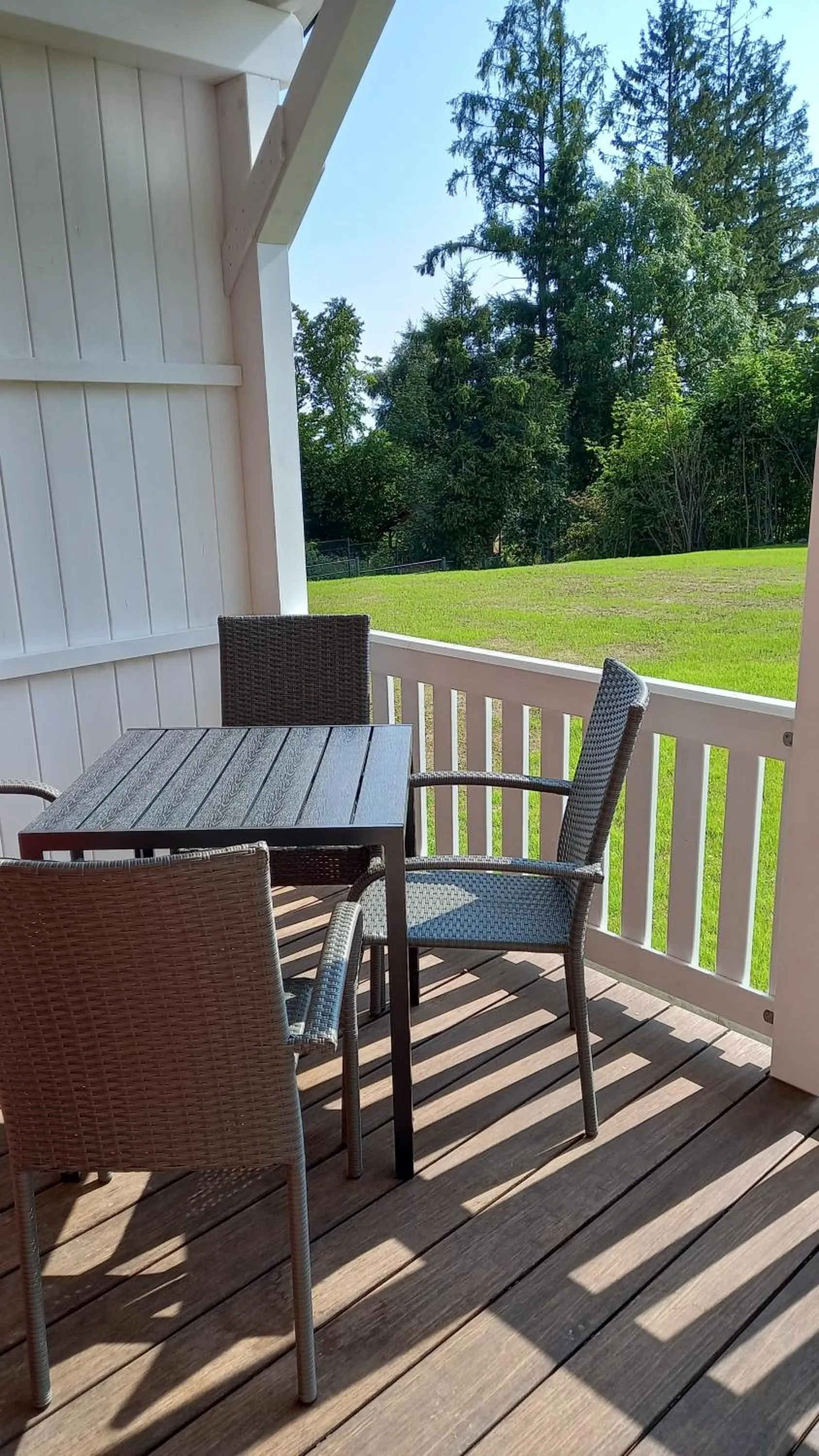 Balcony/Terrace in Mein Vierjahreszeiten Hotel Garni Superior