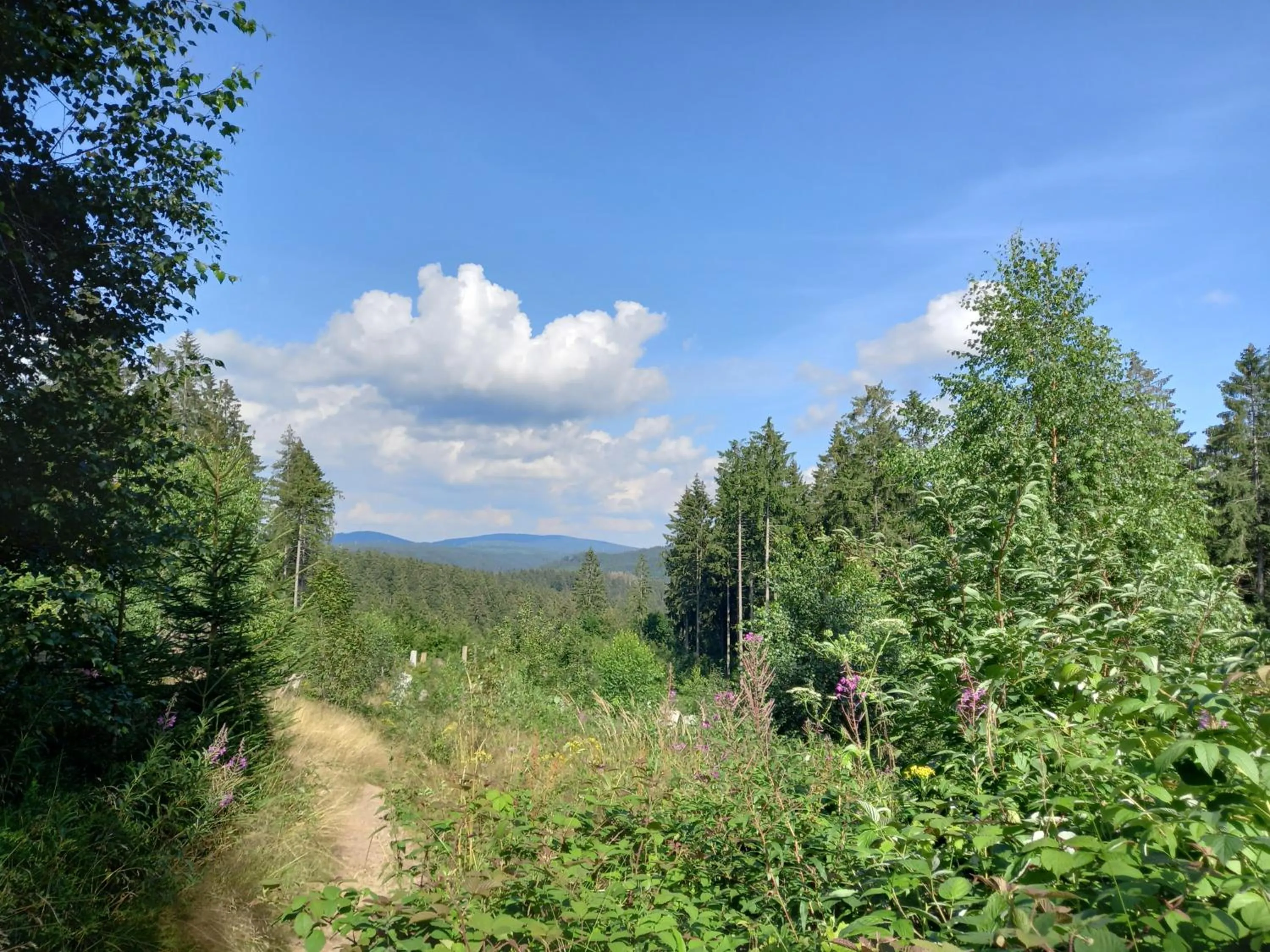 Area and facilities in Mein Vierjahreszeiten Hotel Garni Superior