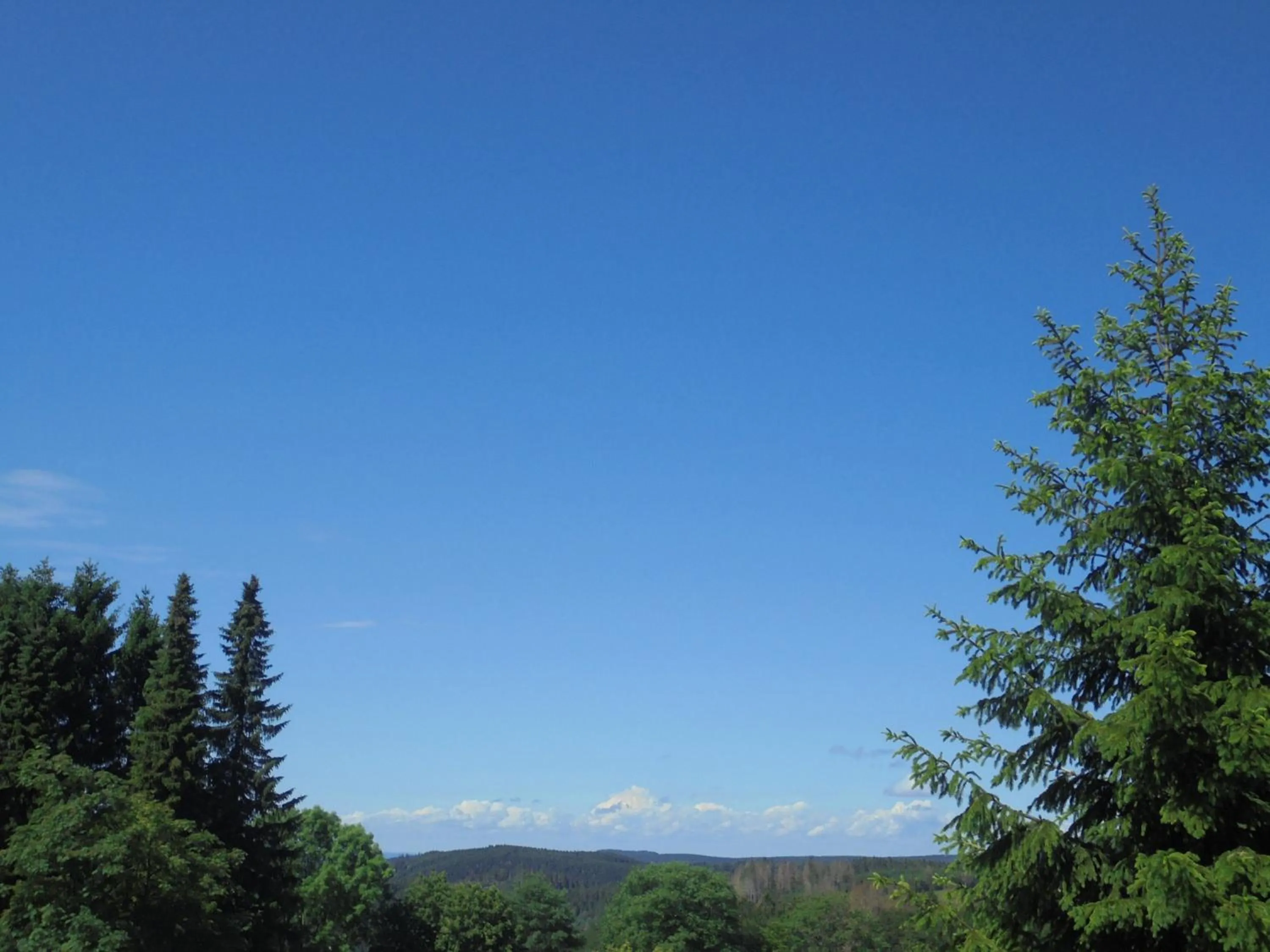 Day in Mein Vierjahreszeiten Hotel Garni Superior