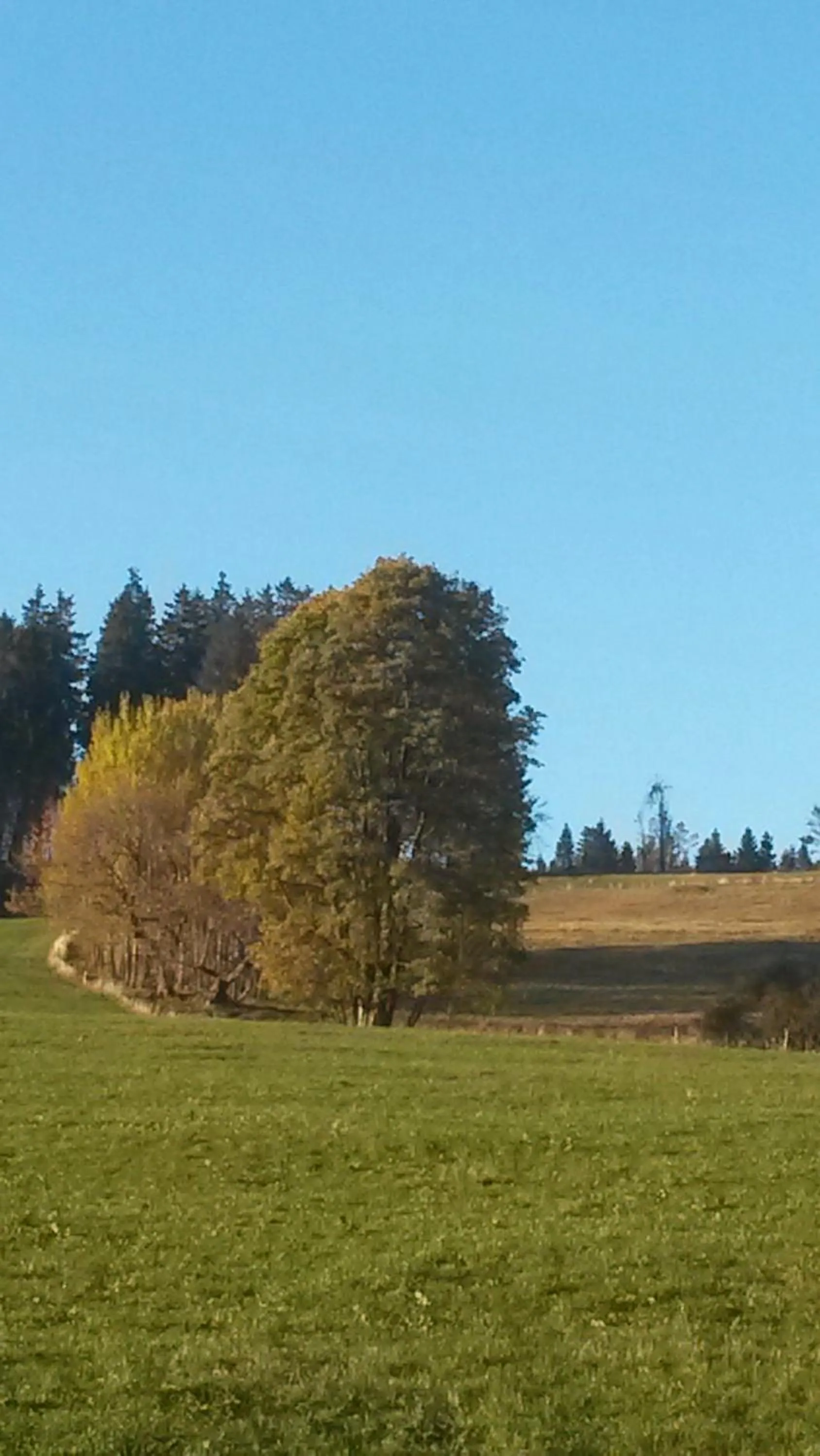 Natural landscape in Mein Vierjahreszeiten Hotel Garni Superior