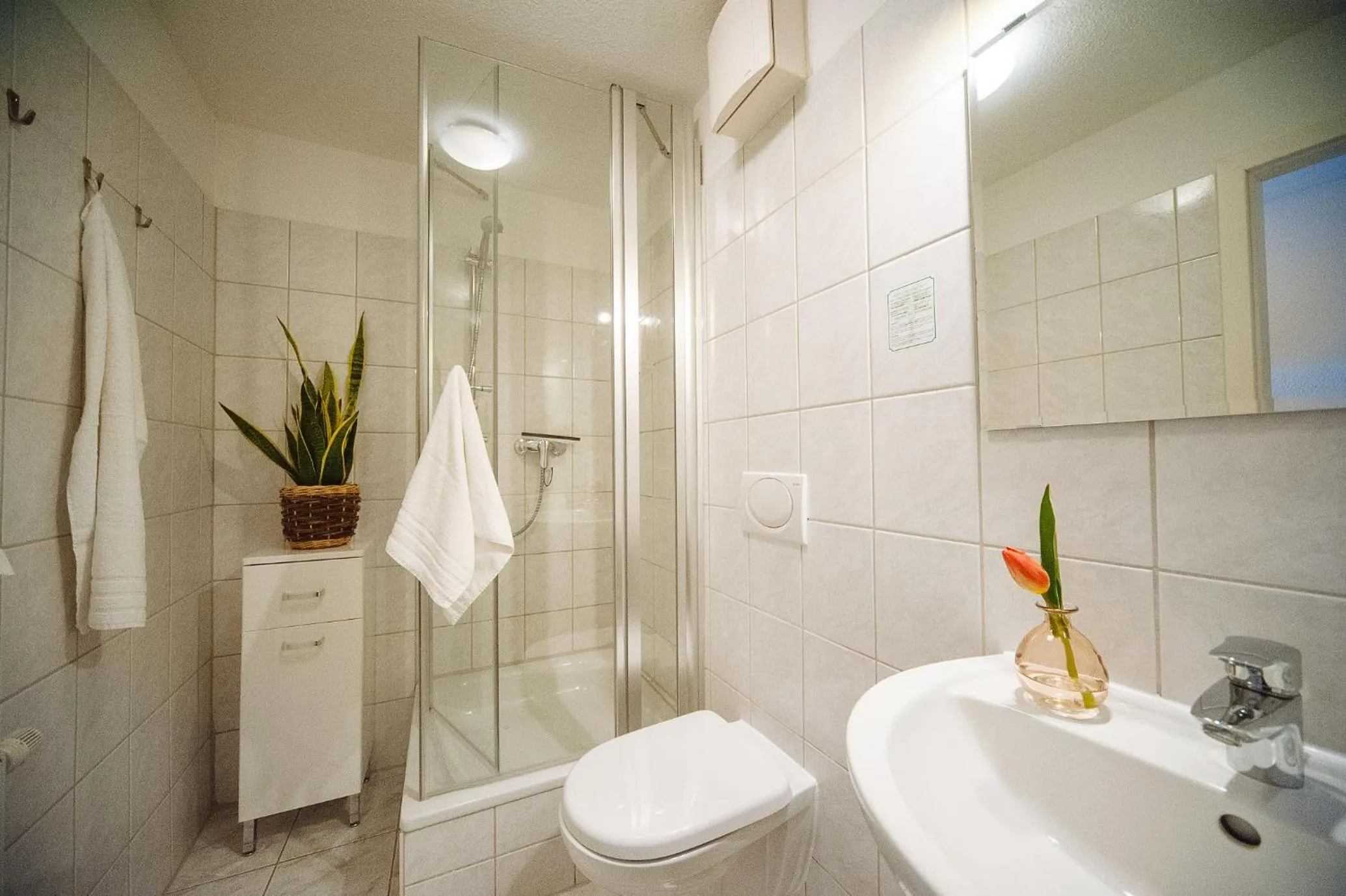 Shower in Apartmenthaus Kaiser Friedrich