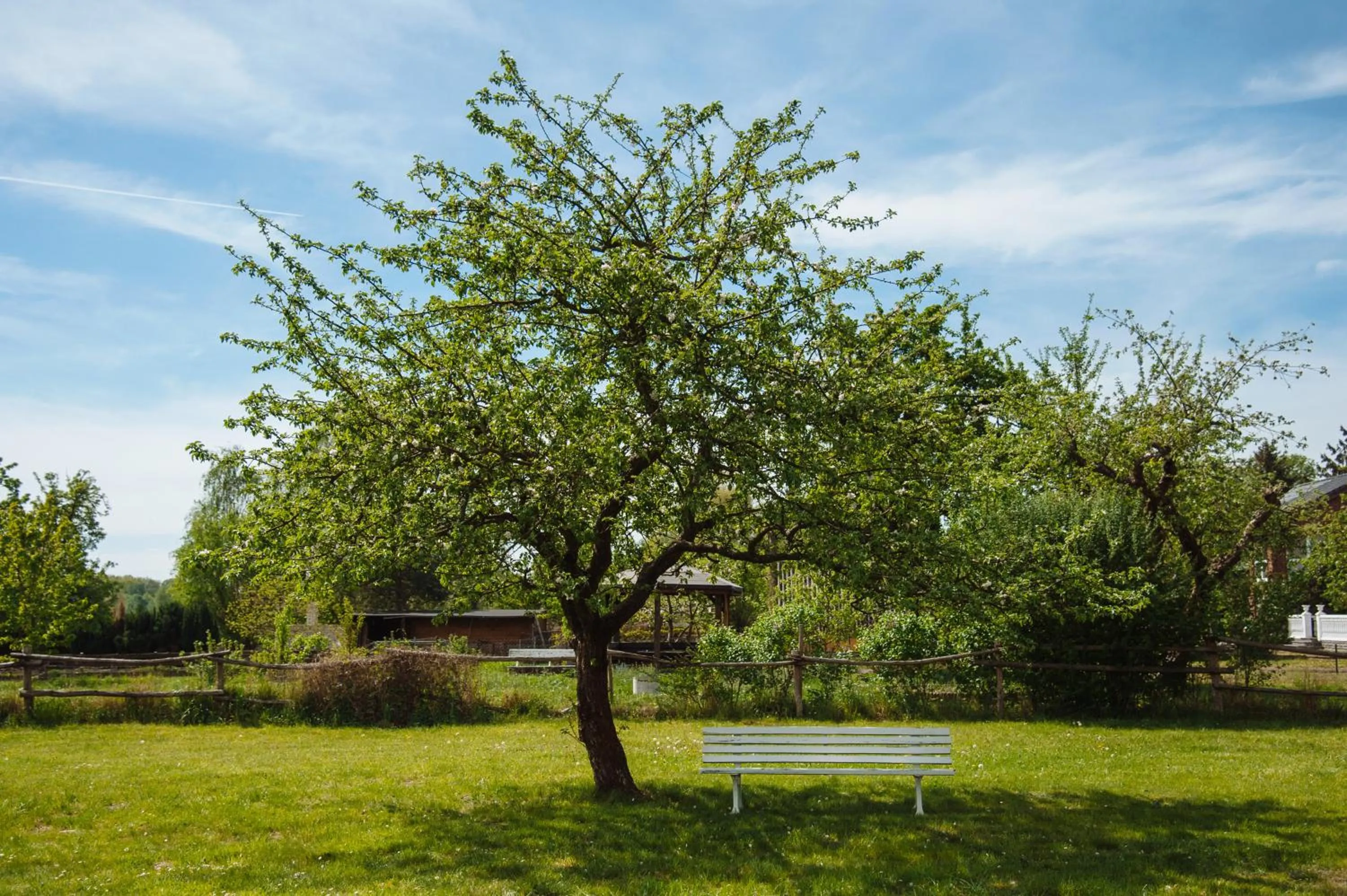 Garden in Apartmenthaus Kaiser Friedrich