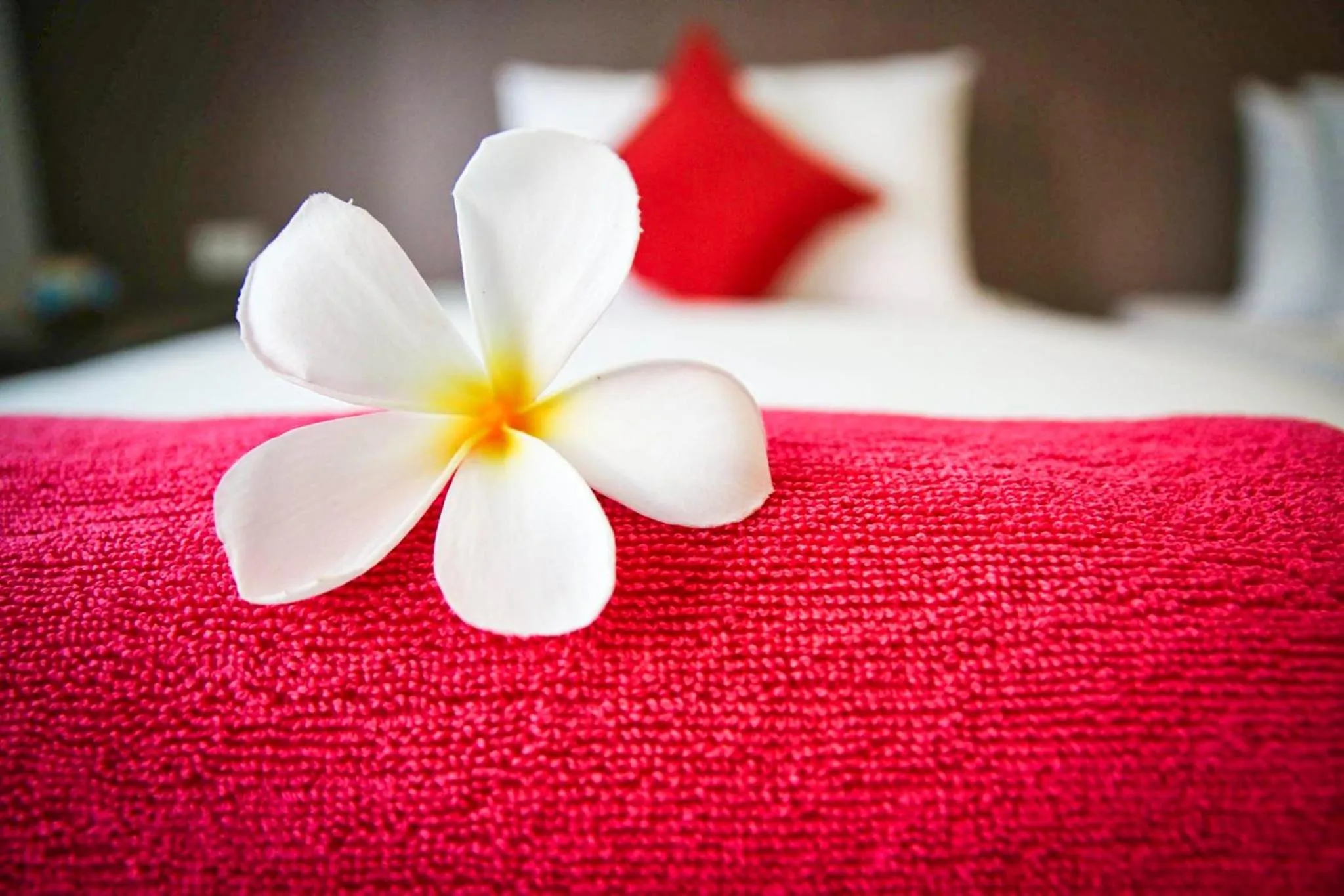 Bedroom, Bed in Scandia Beach Hotel